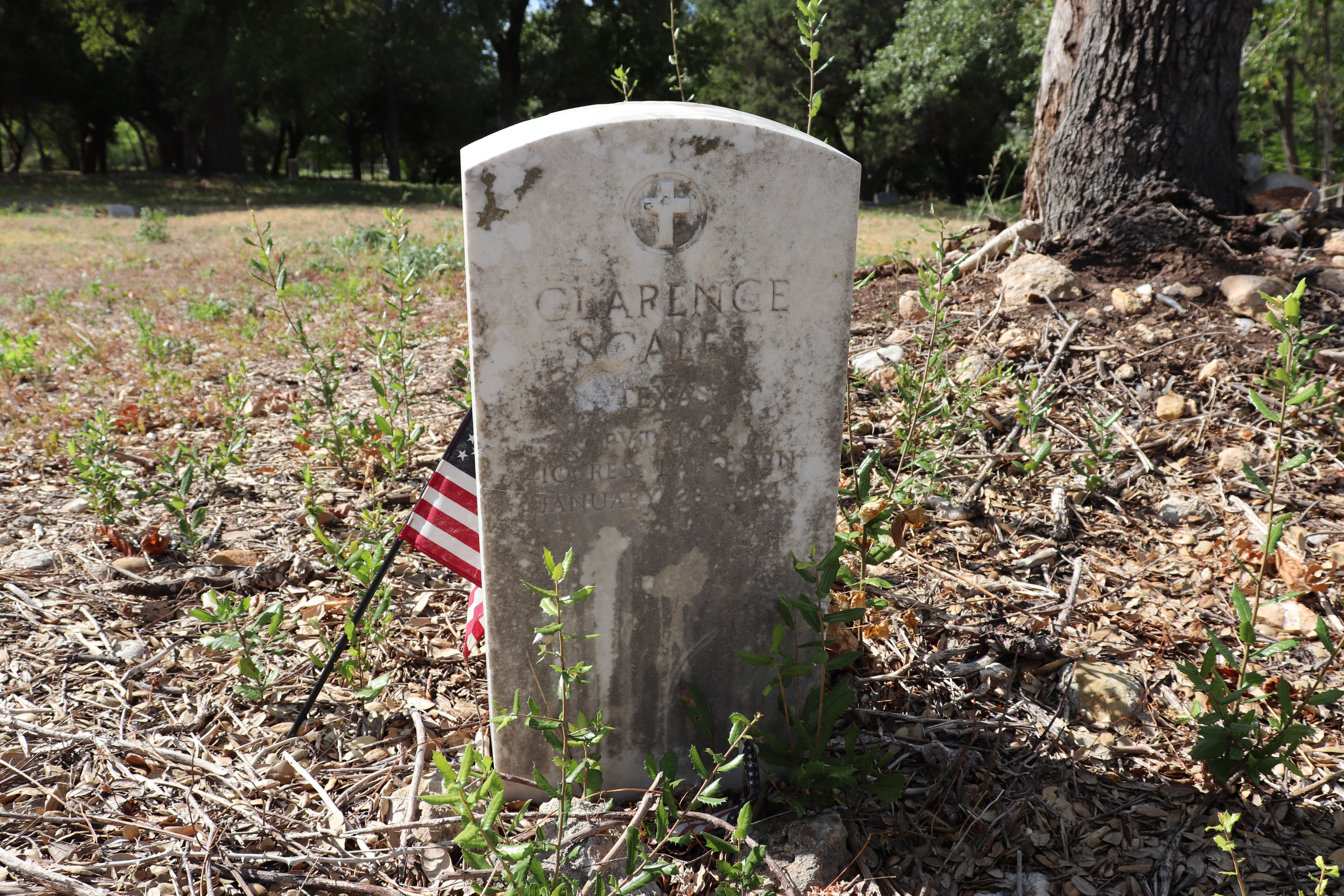 Photographed 21 September 2019