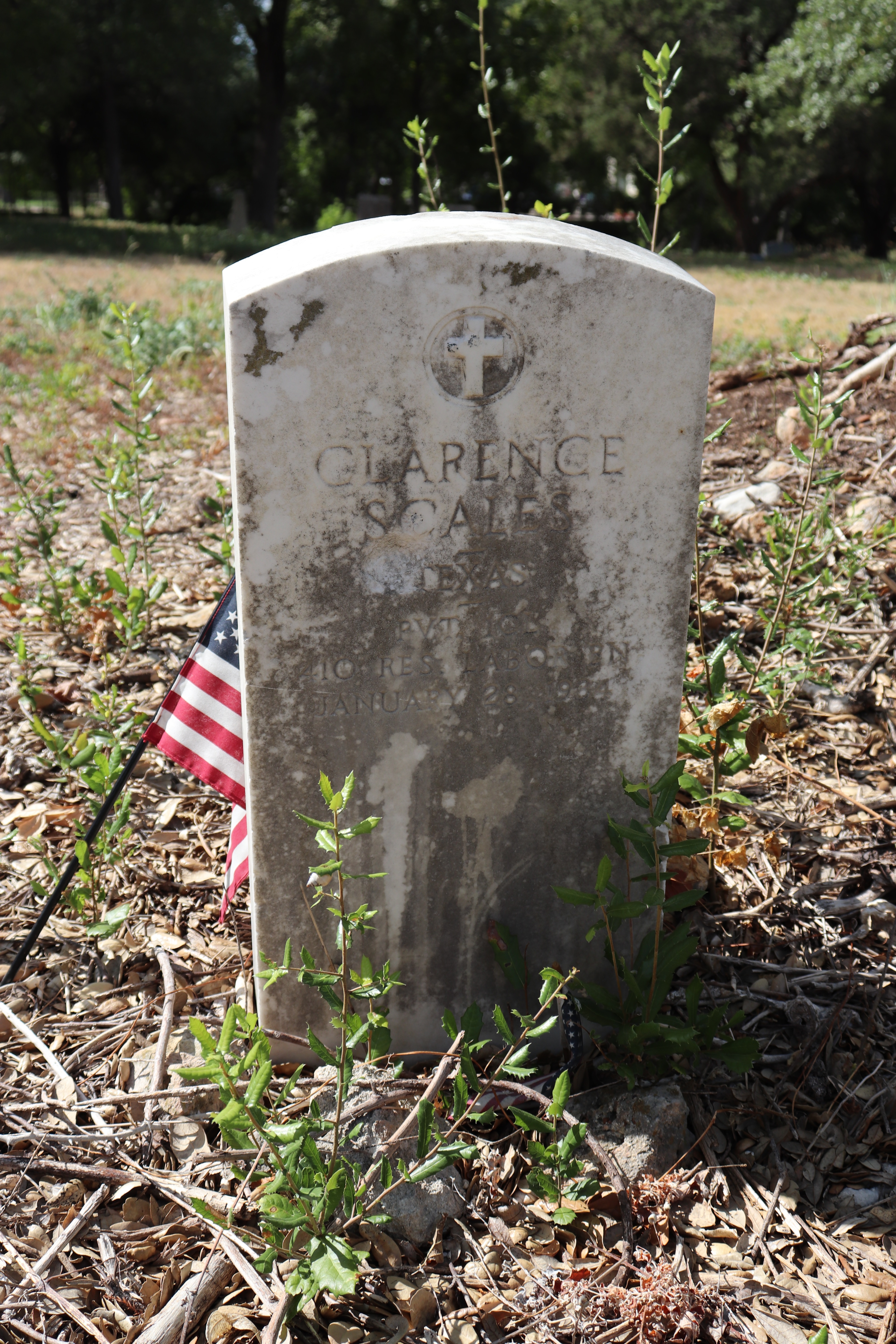 Photographed 21 September 2019