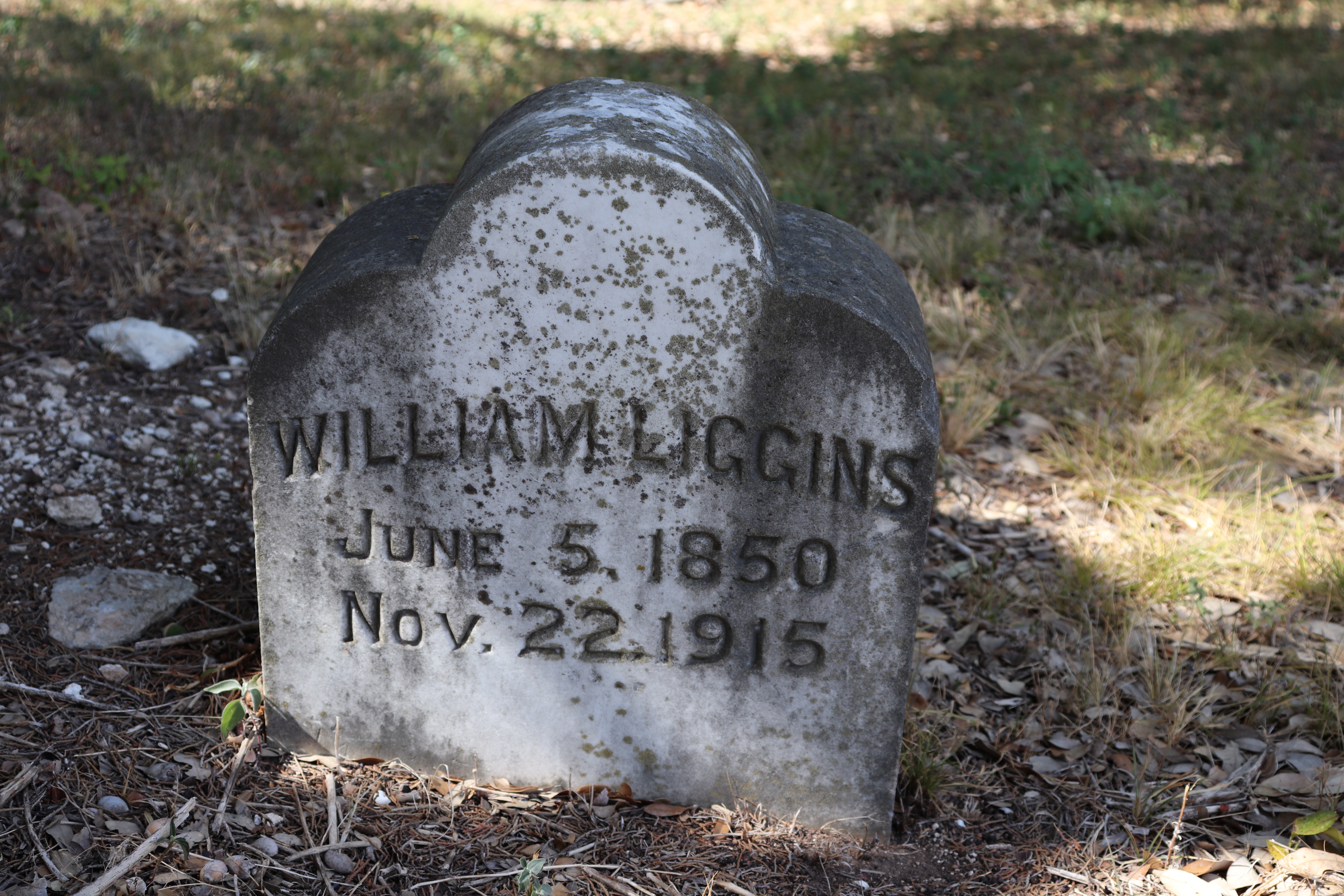 Photographed 21 September 2019