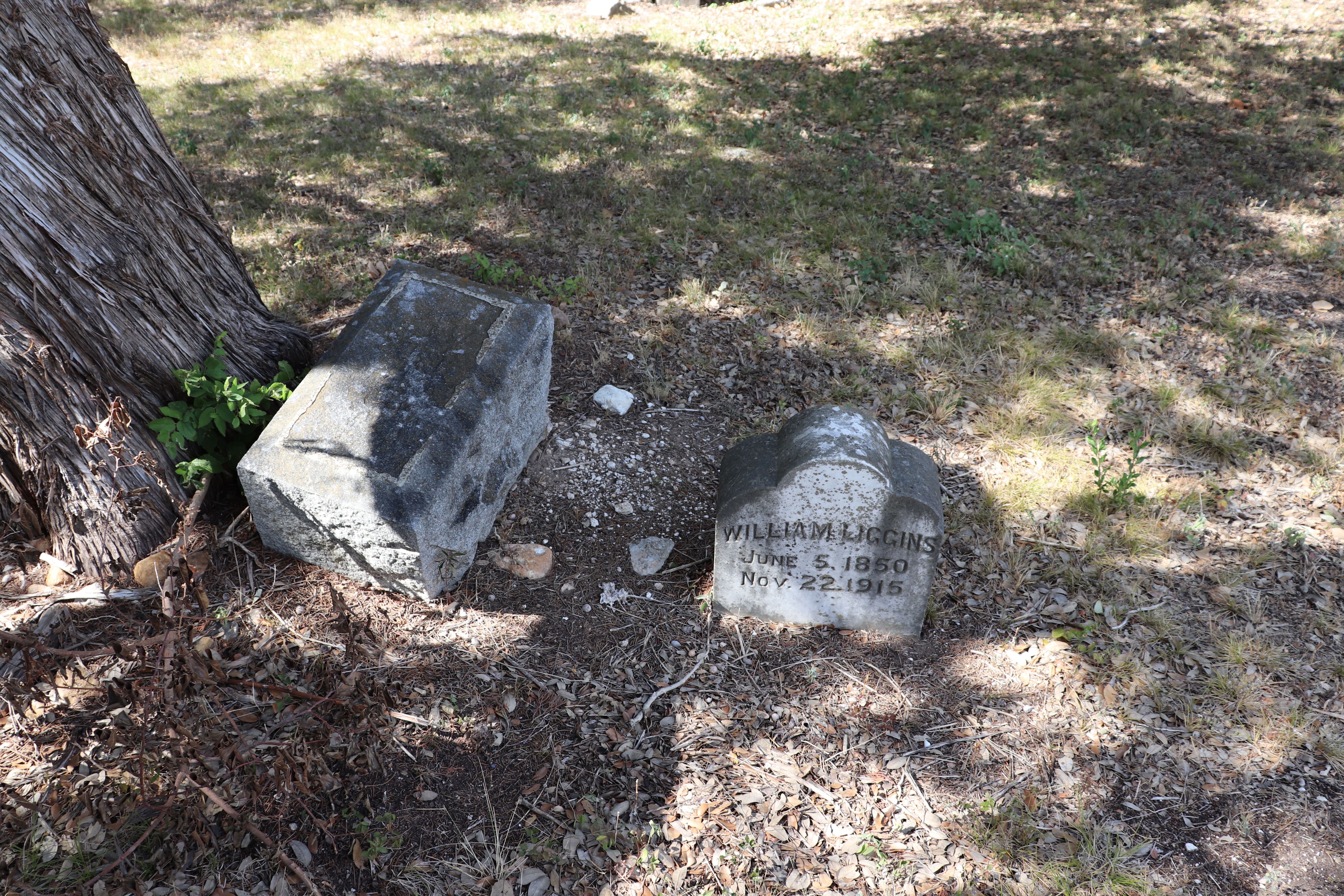 Photographed 21 September 2019