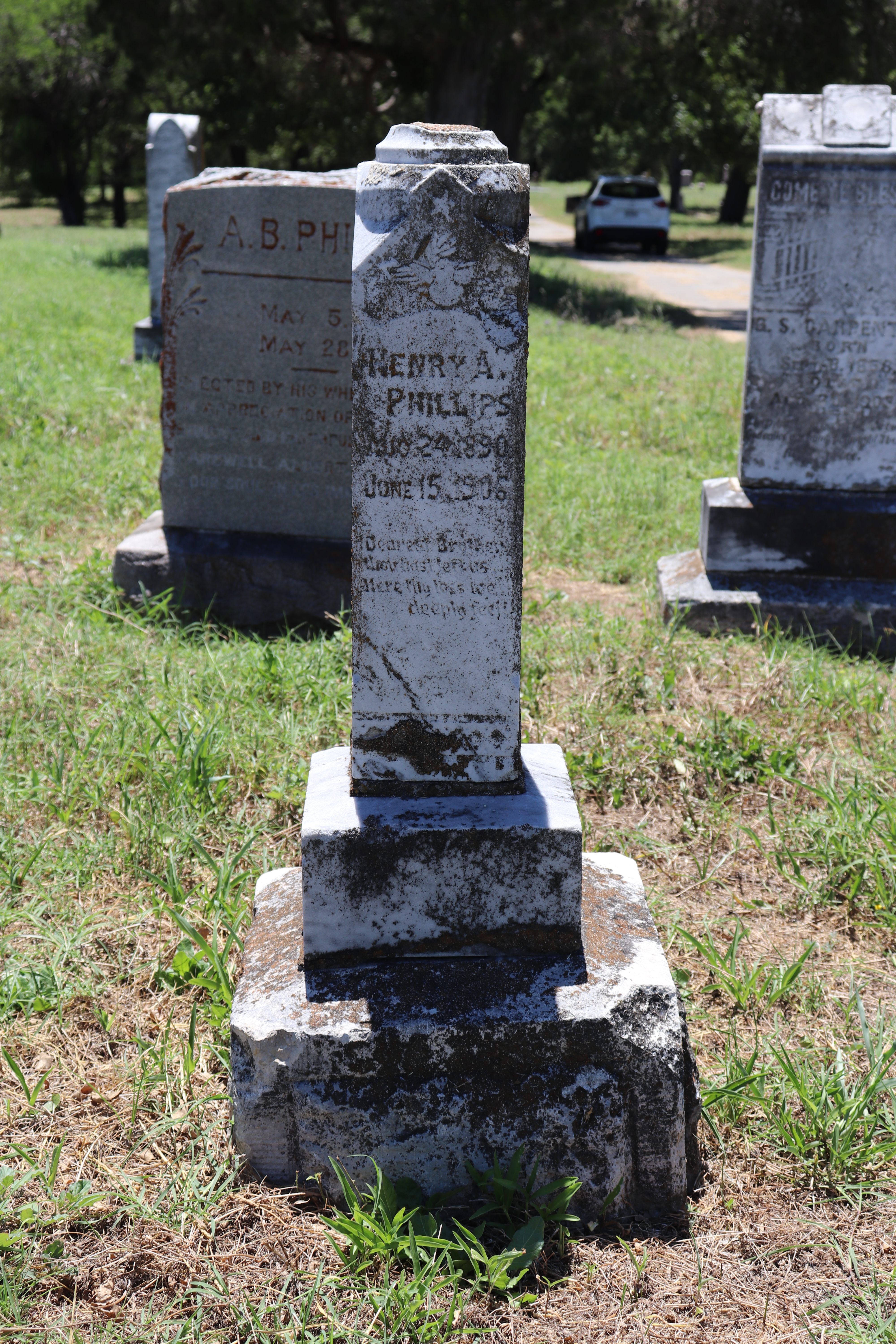 Photographed 11 Jun 2020.