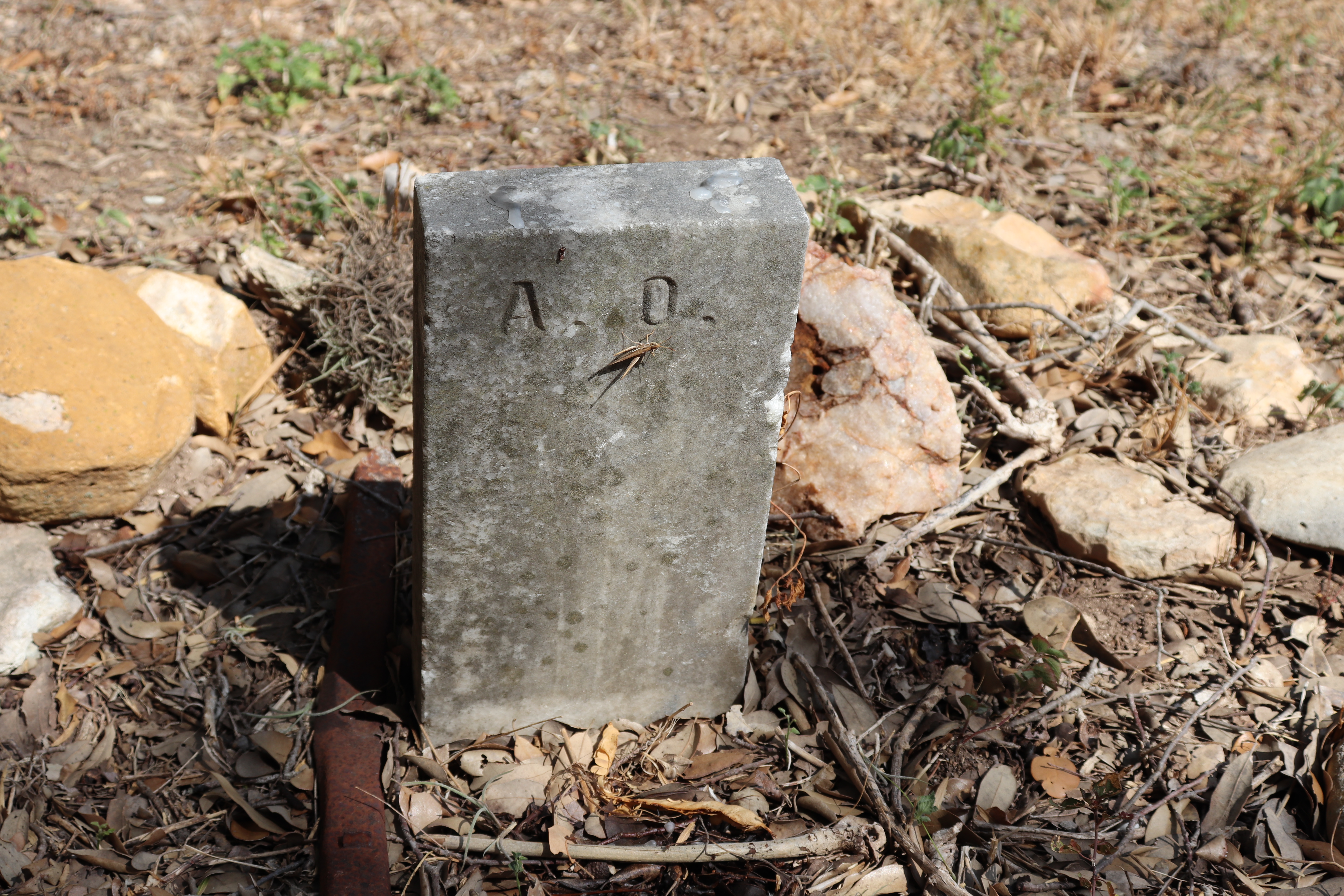 Photographed 21 September 2019