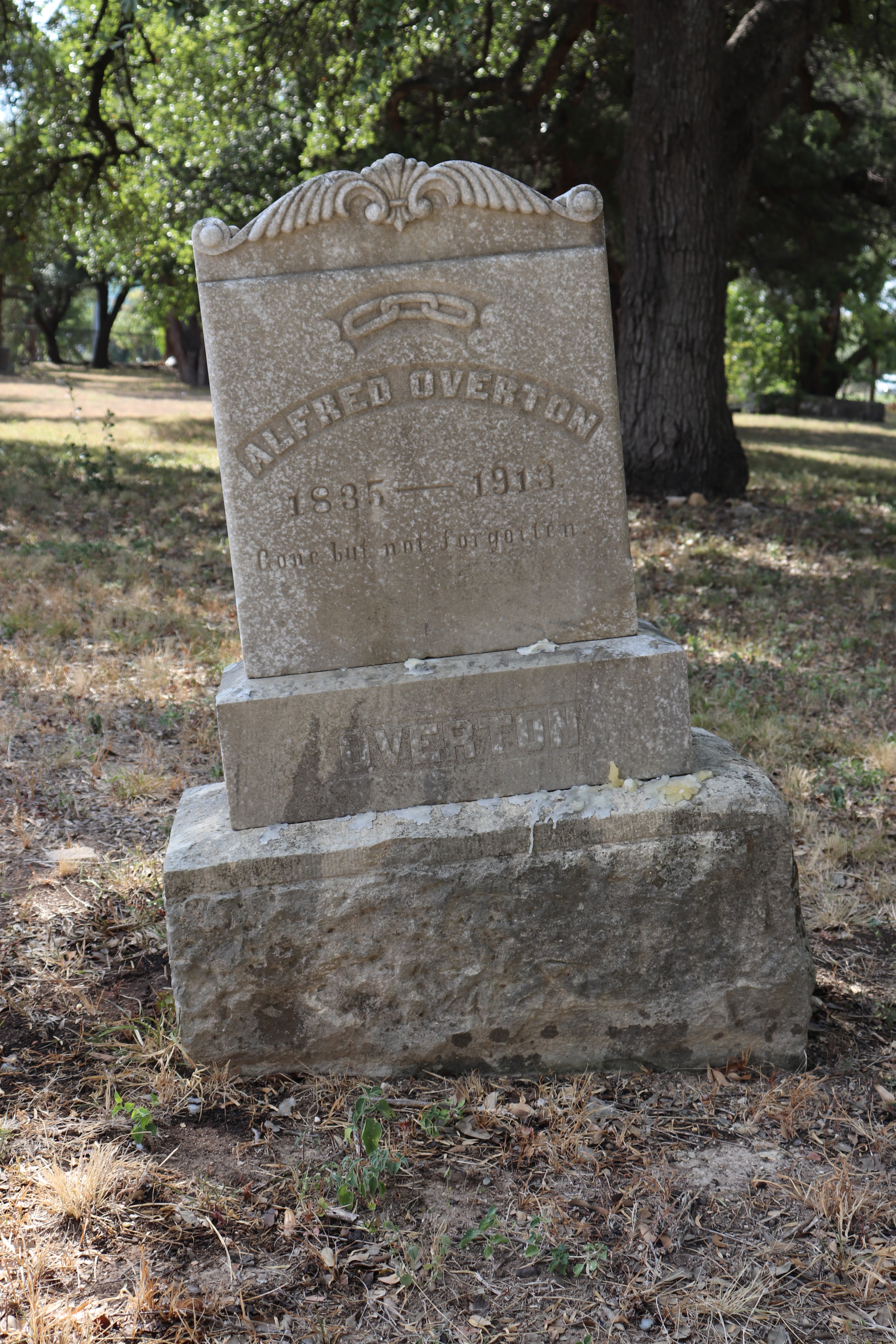 Photographed 21 September 2019