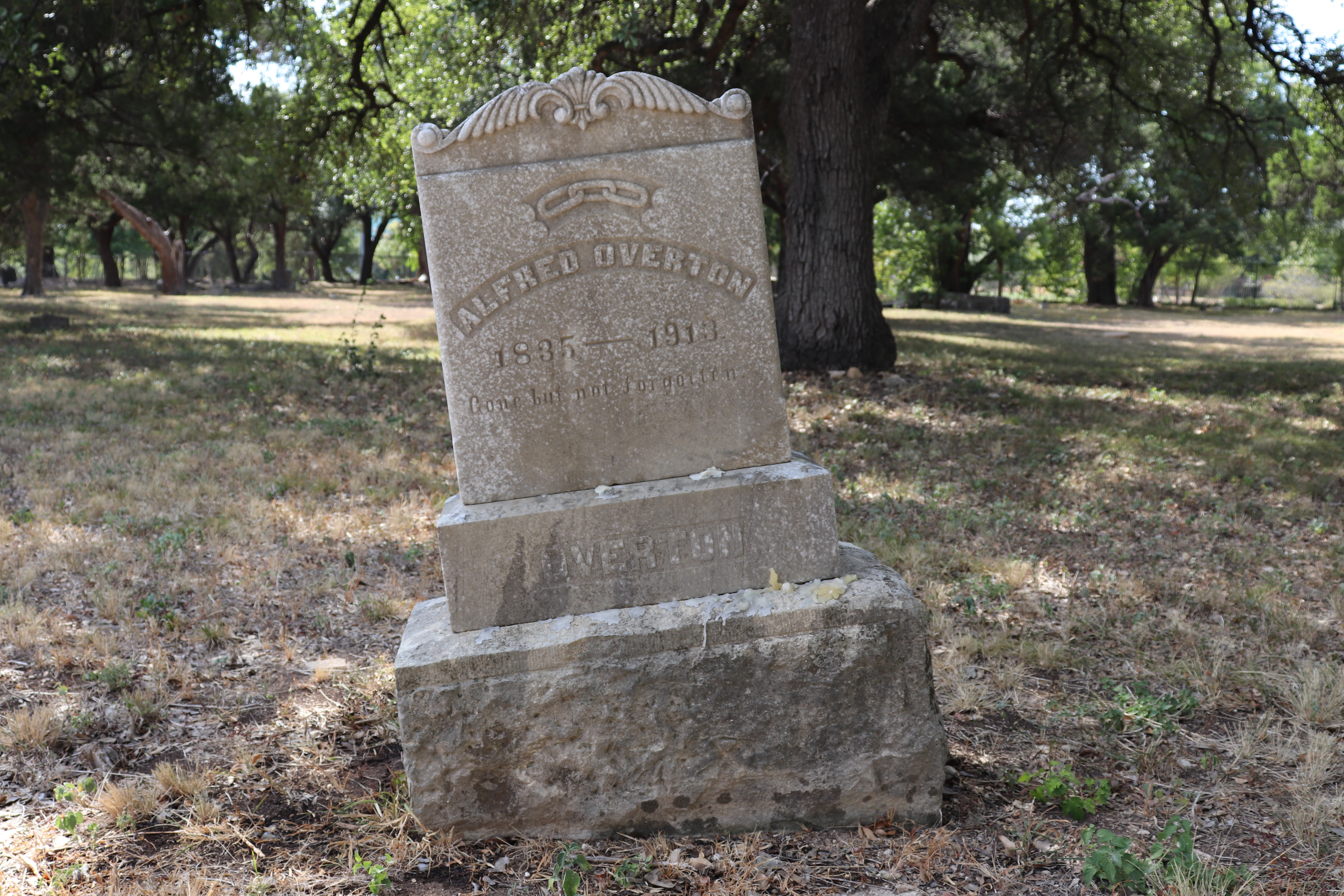 Photographed 21 September 2019