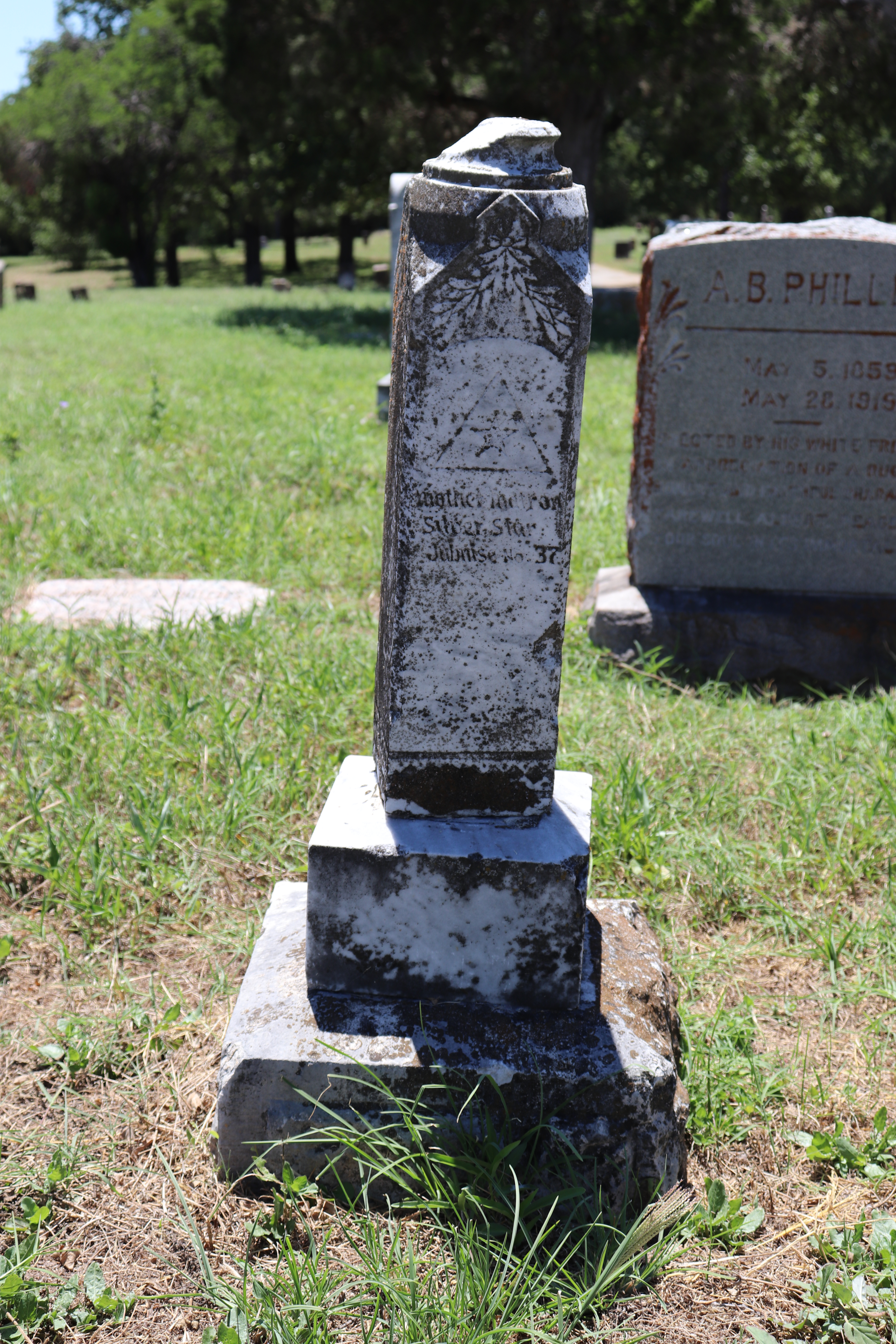 Photographed 11 Jun 2020.