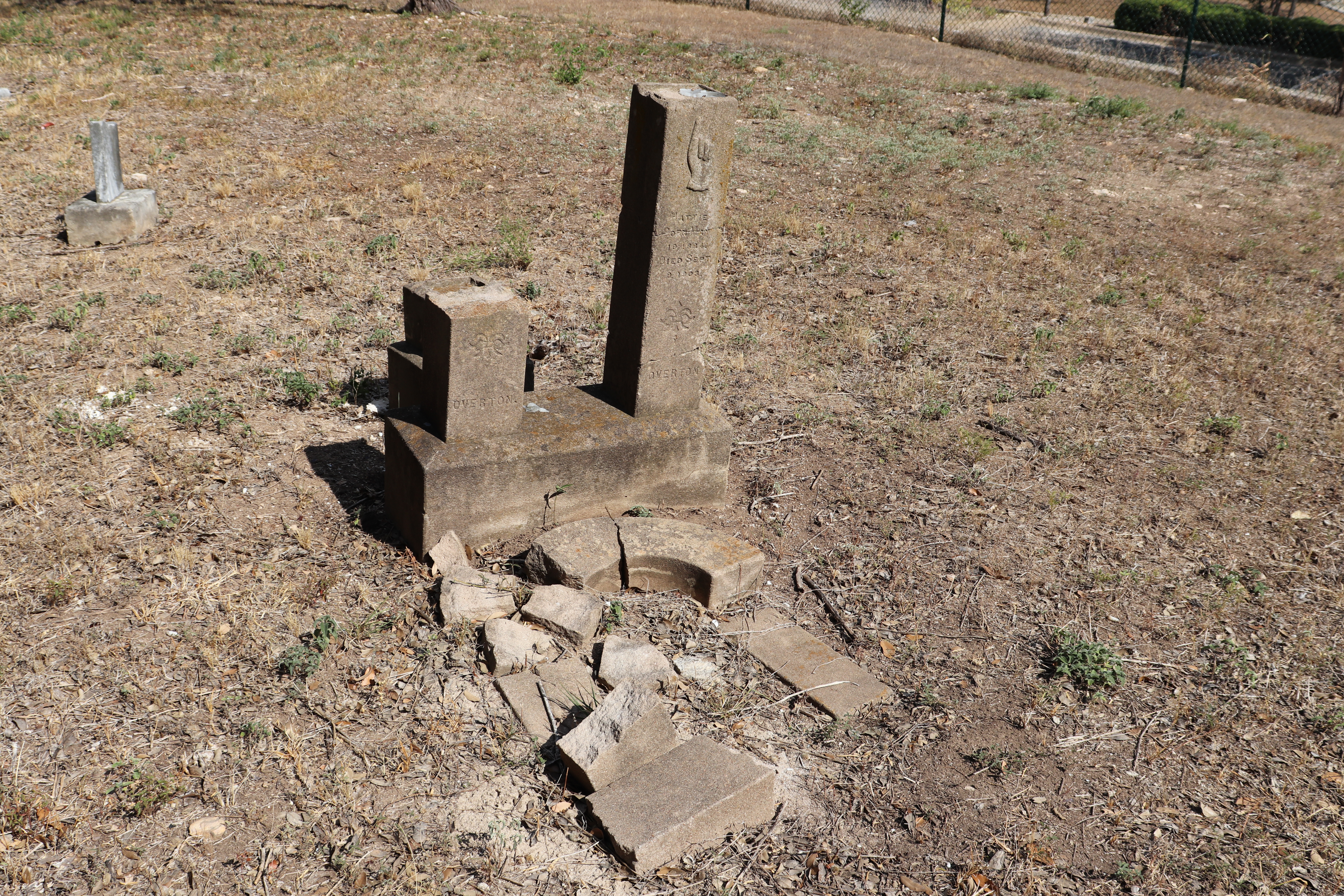 Photographed 21 September 2019.