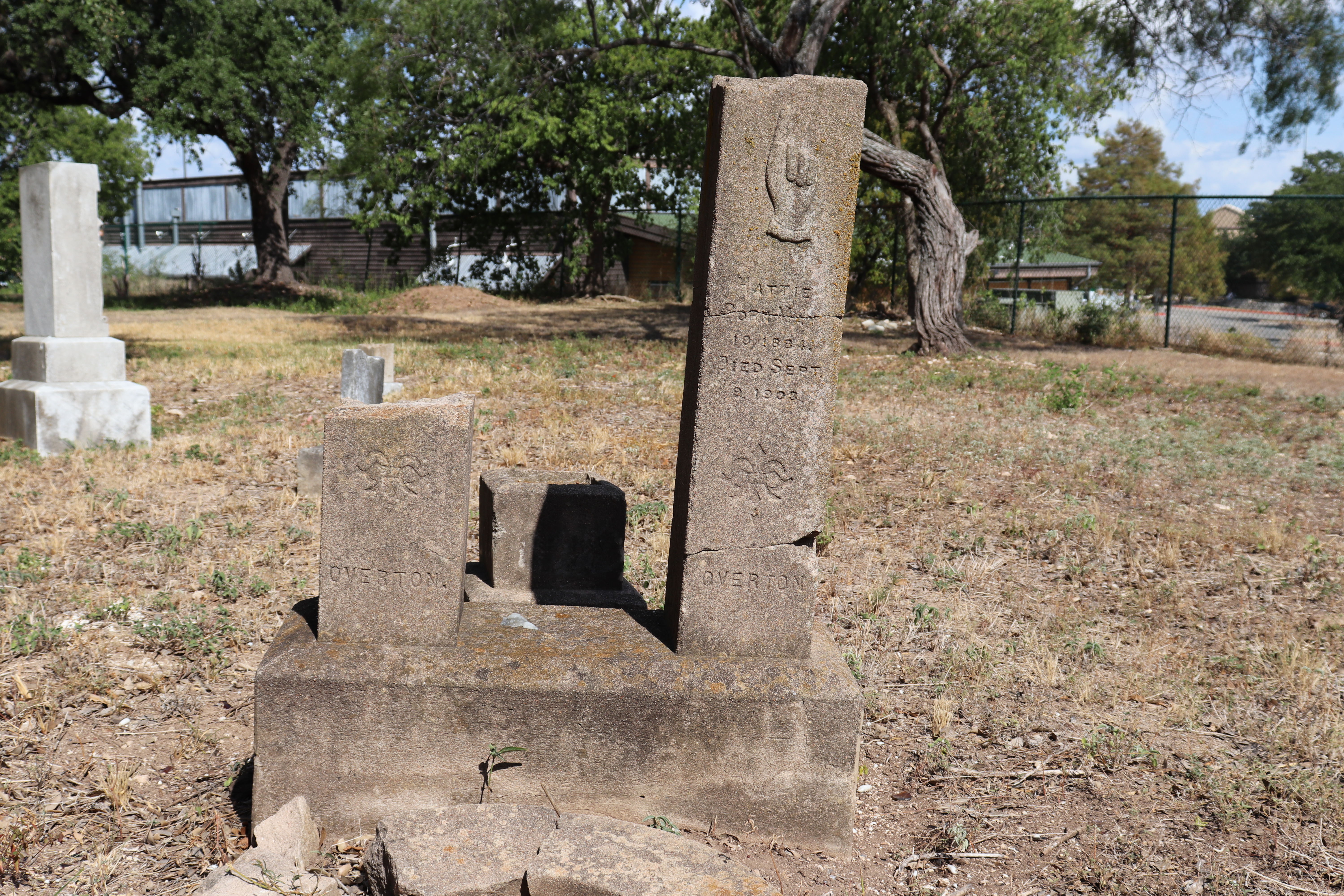 Photographed 21 September 2019.