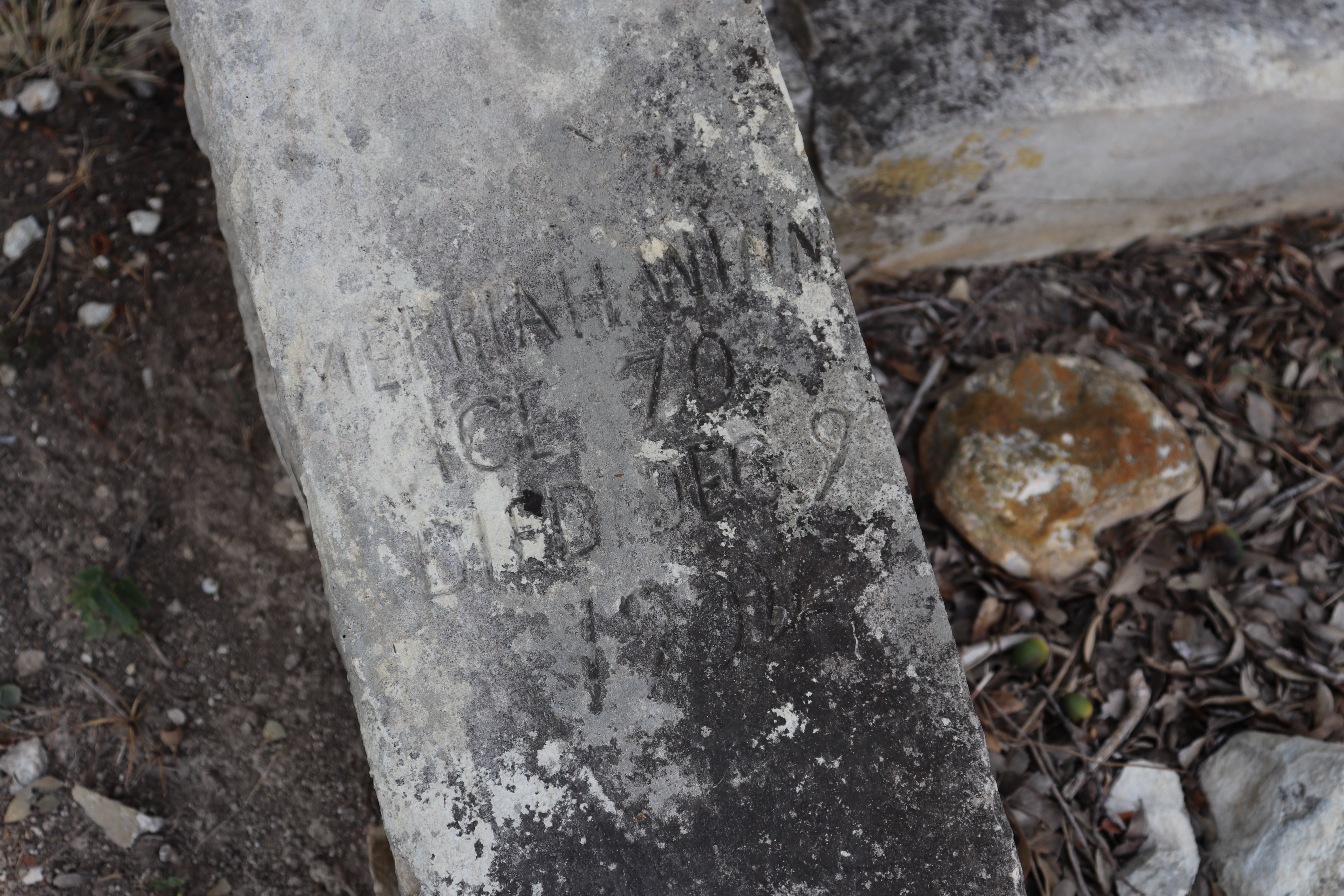 Photographed 21 September 2019.