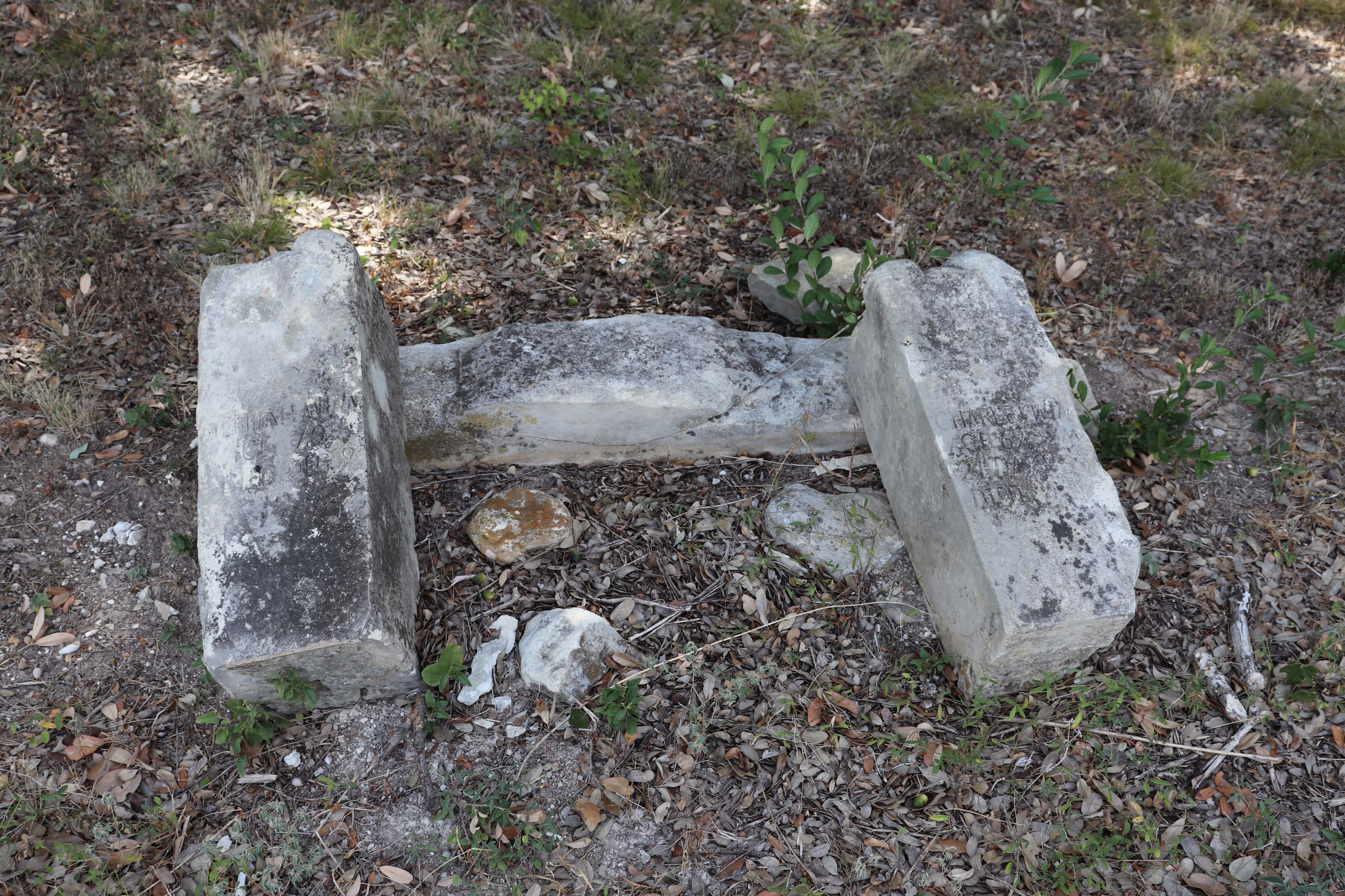 Photographed 21 September 2019.