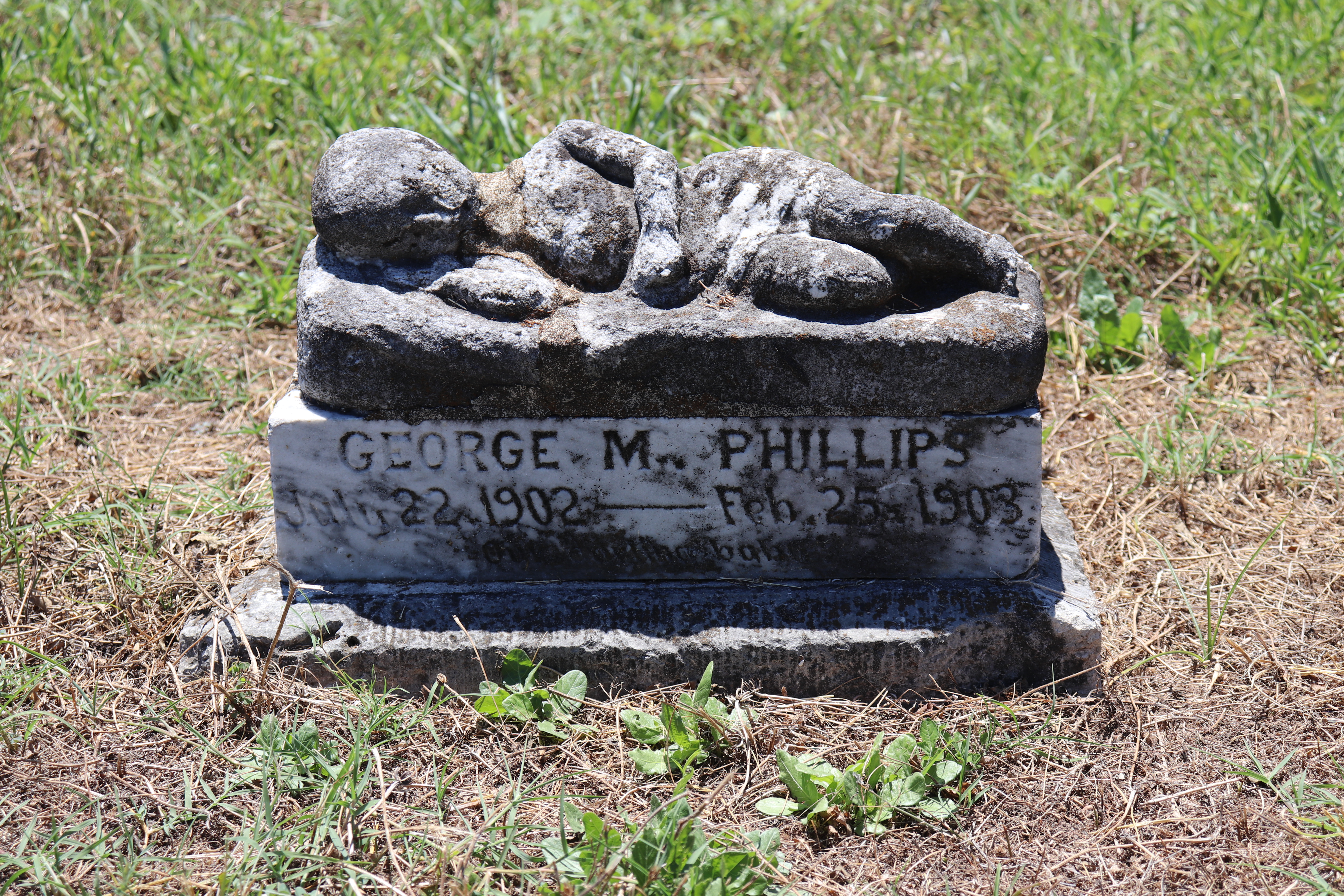 Photographed 11 Jun 2020.