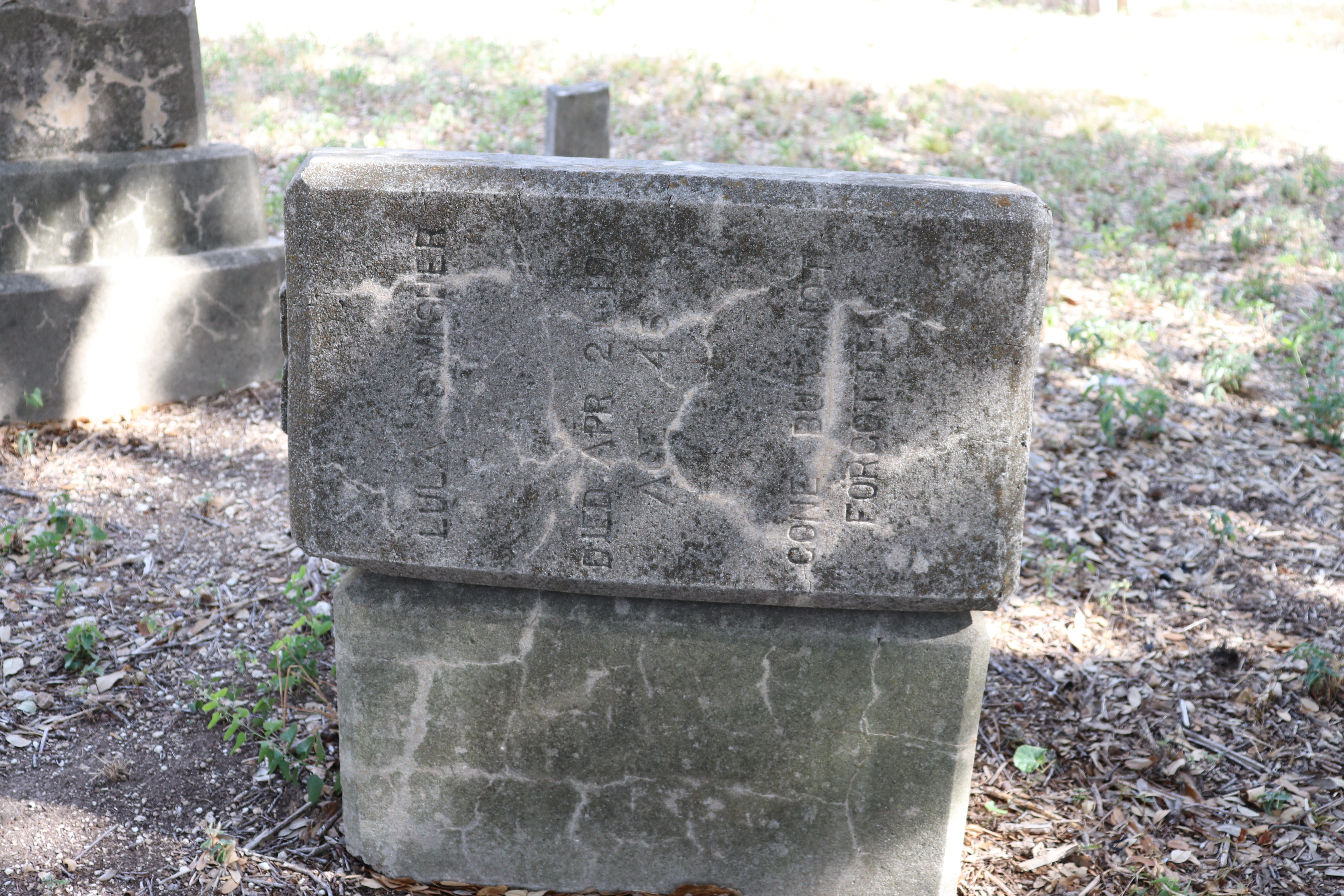 Photographed 21 September 2019.