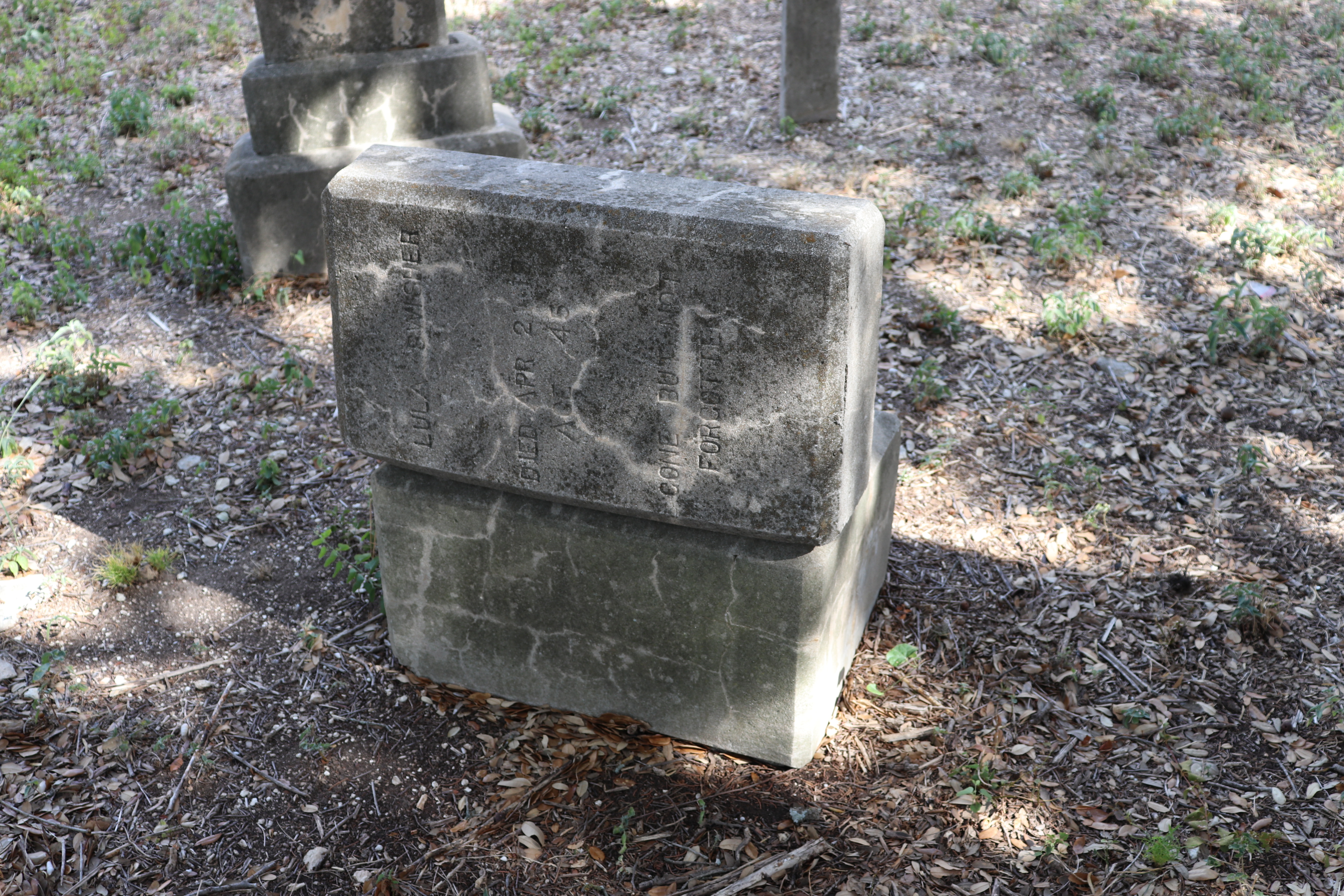 Photographed 21 September 2019.