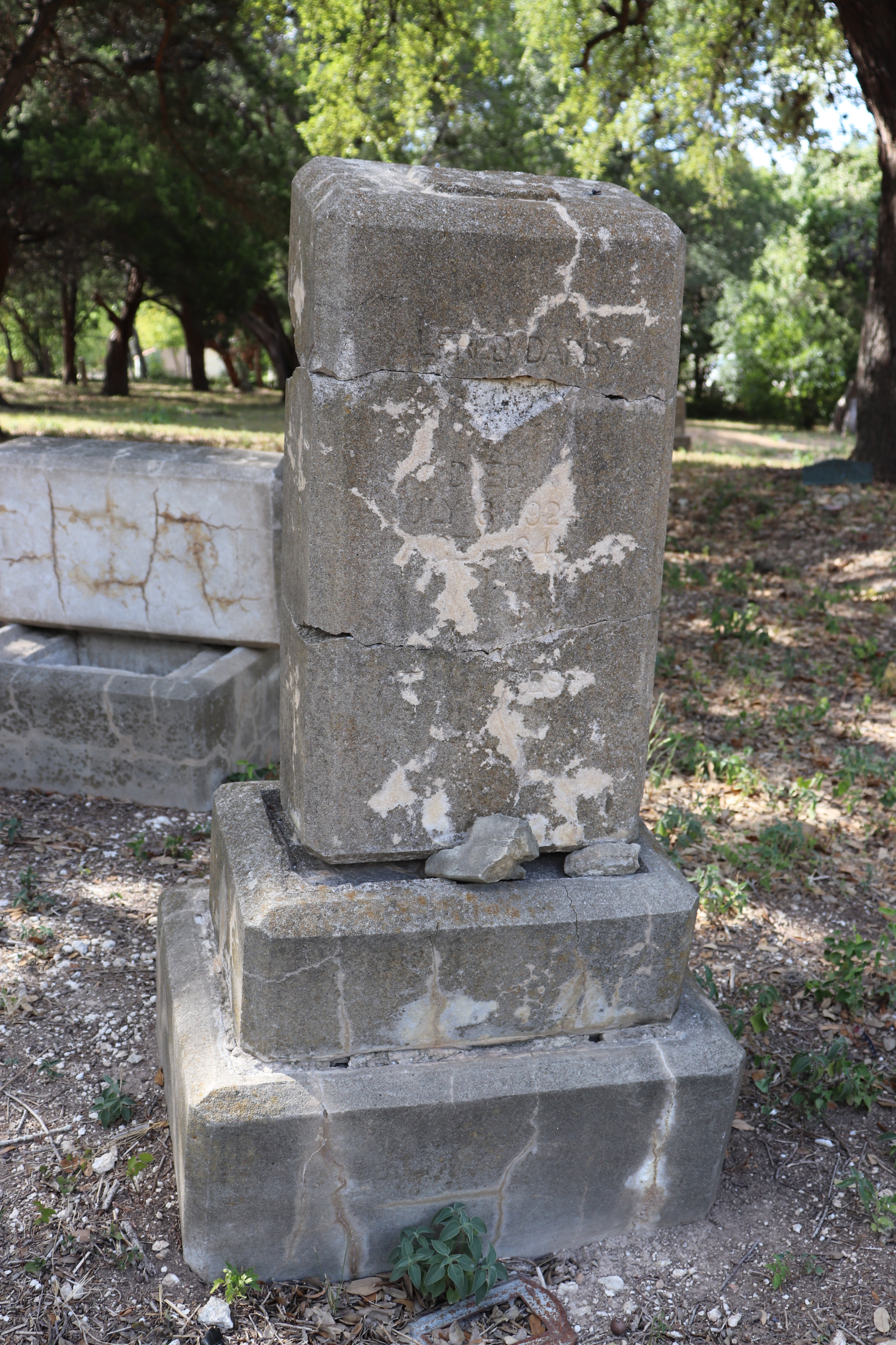 Photographed 21 September 2019.