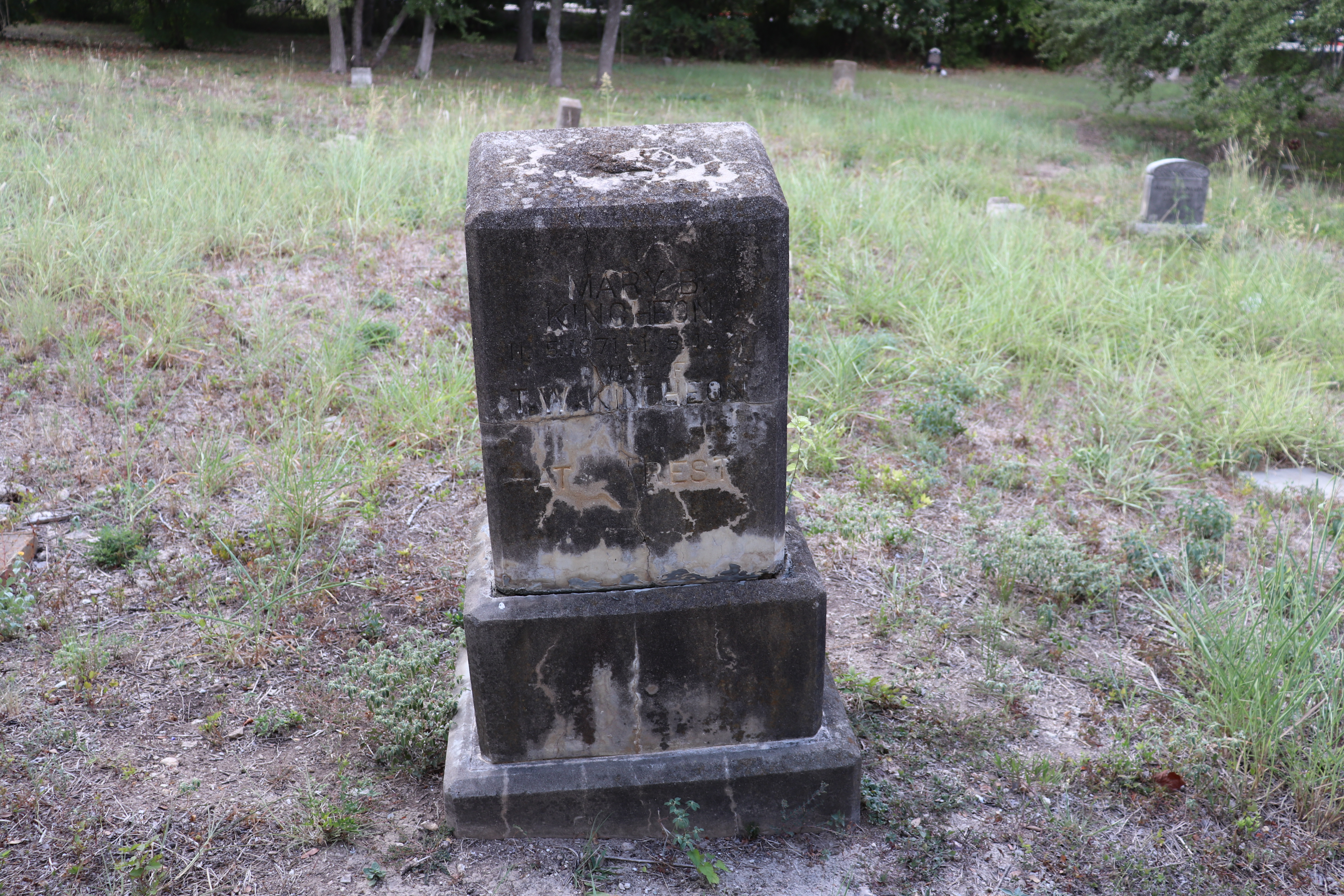 Photographed 21 September 2019.