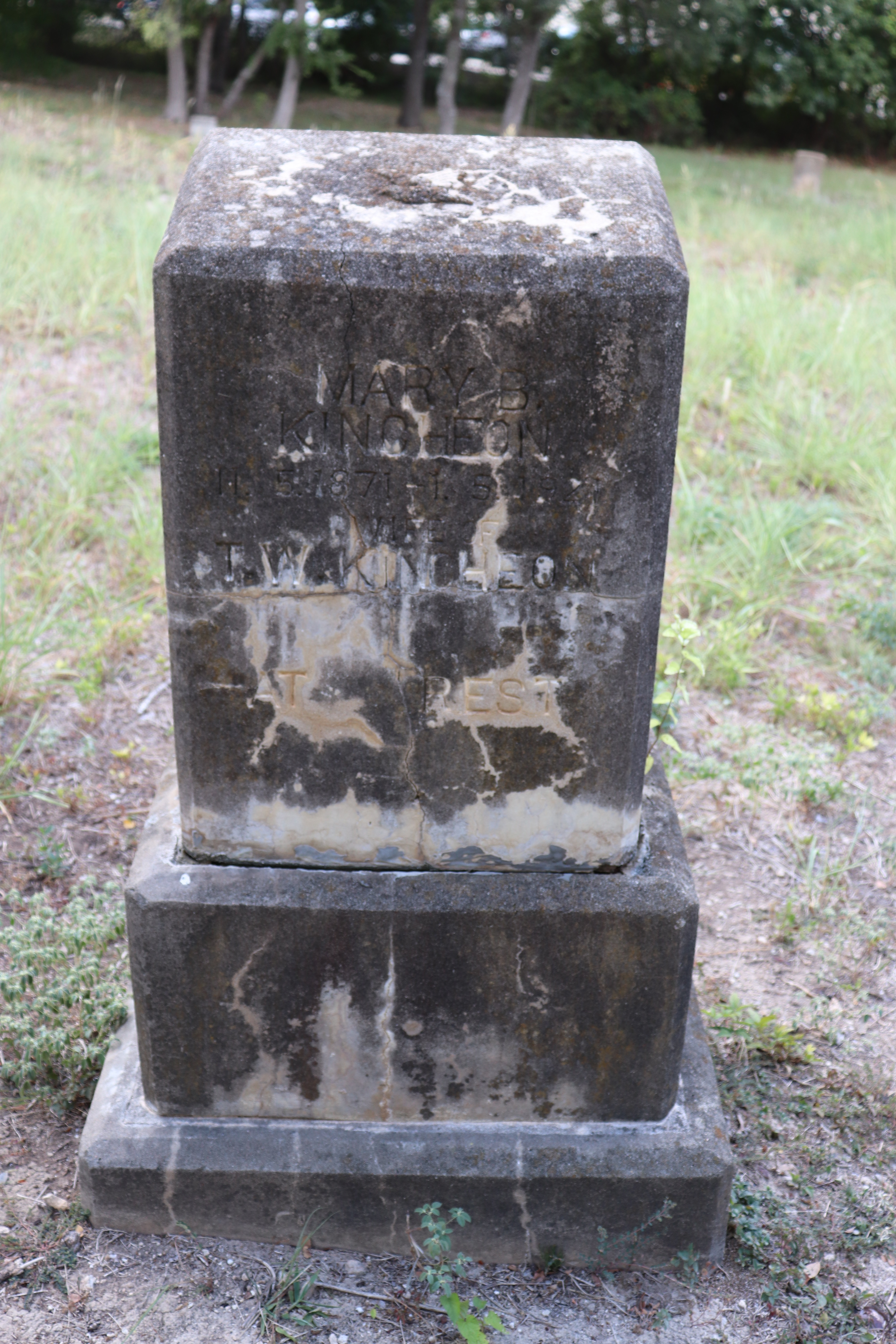 Photographed 21 September 2019.