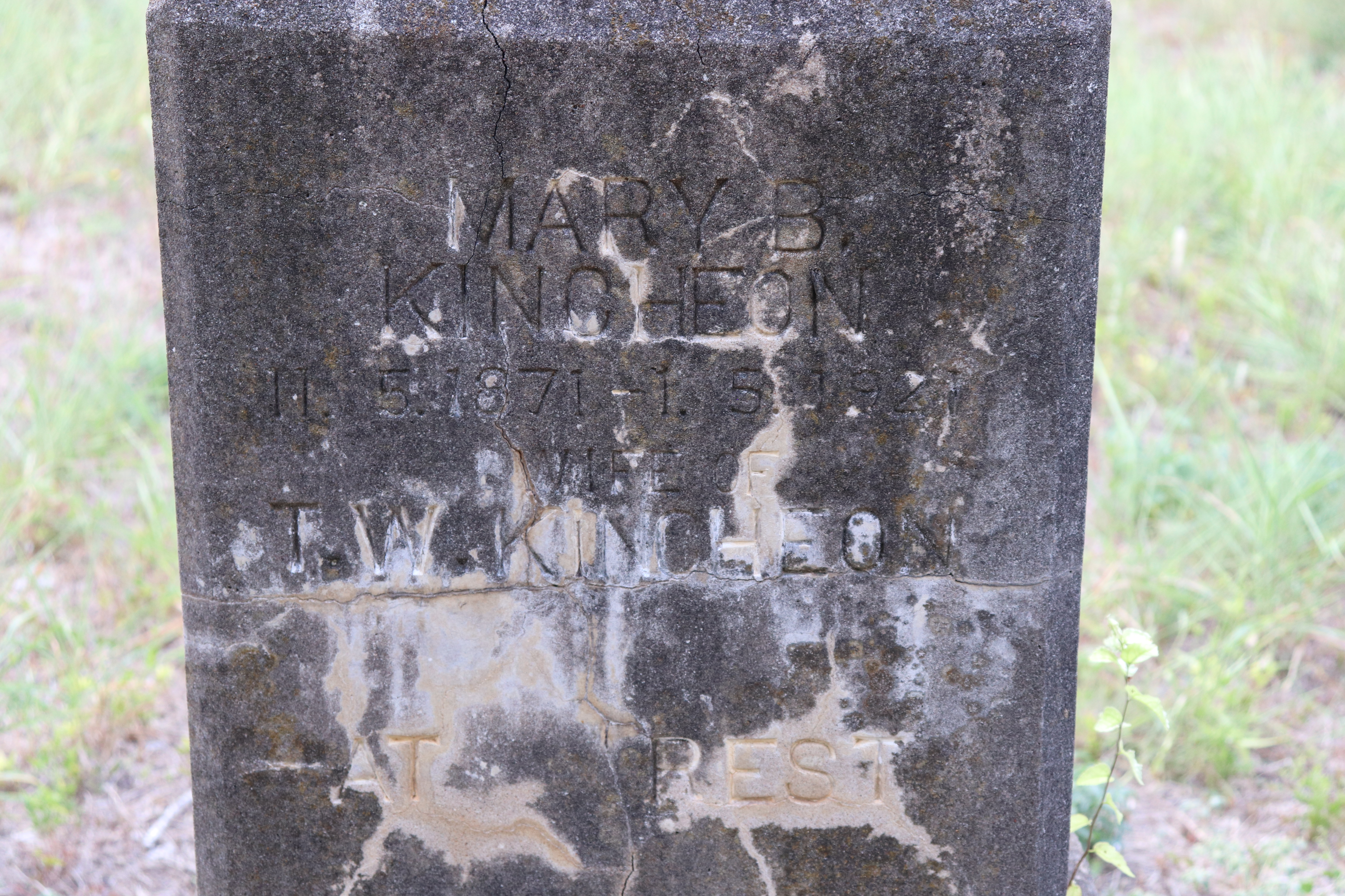 Photographed 21 September 2019.