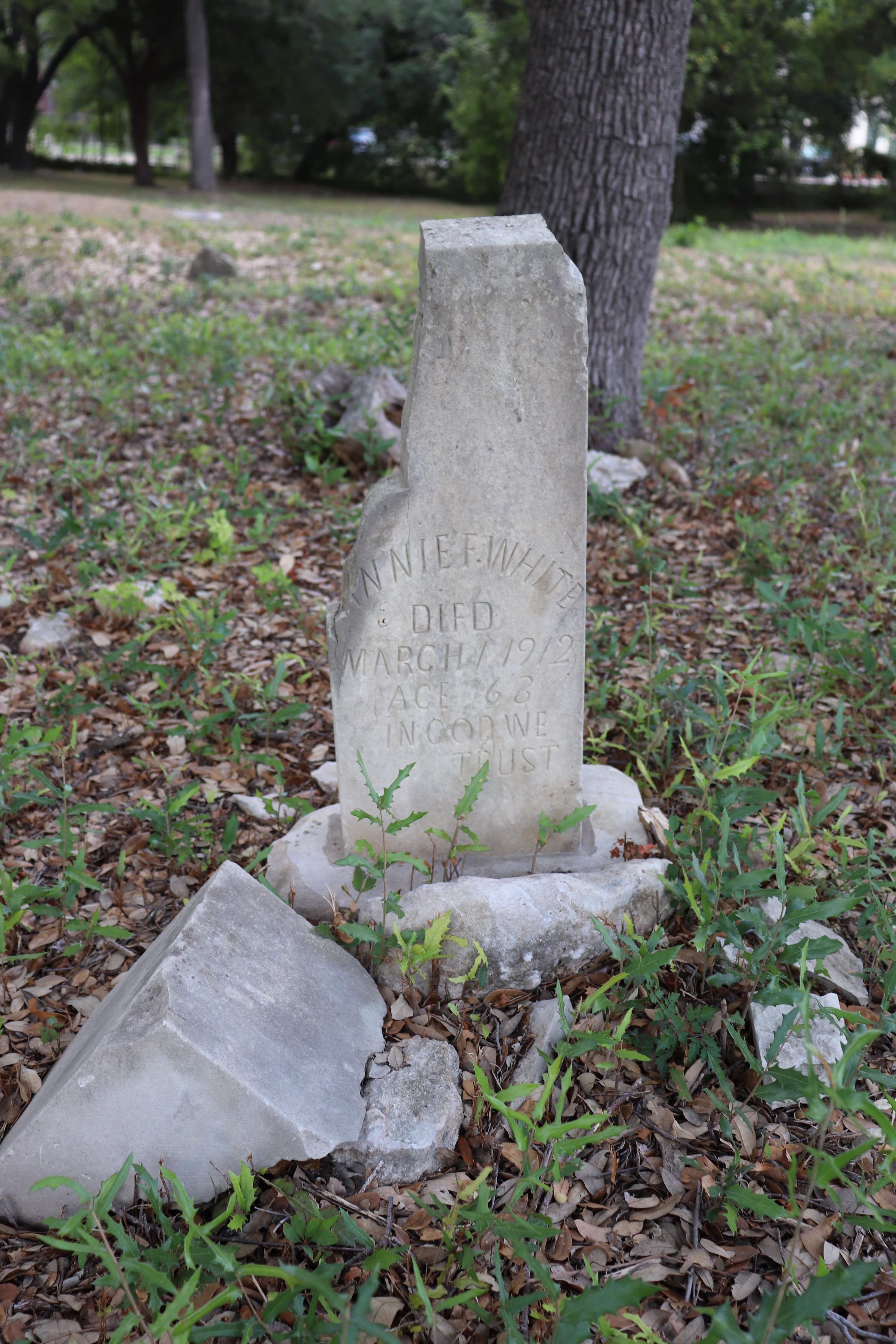 Photographed 21 September 2019.