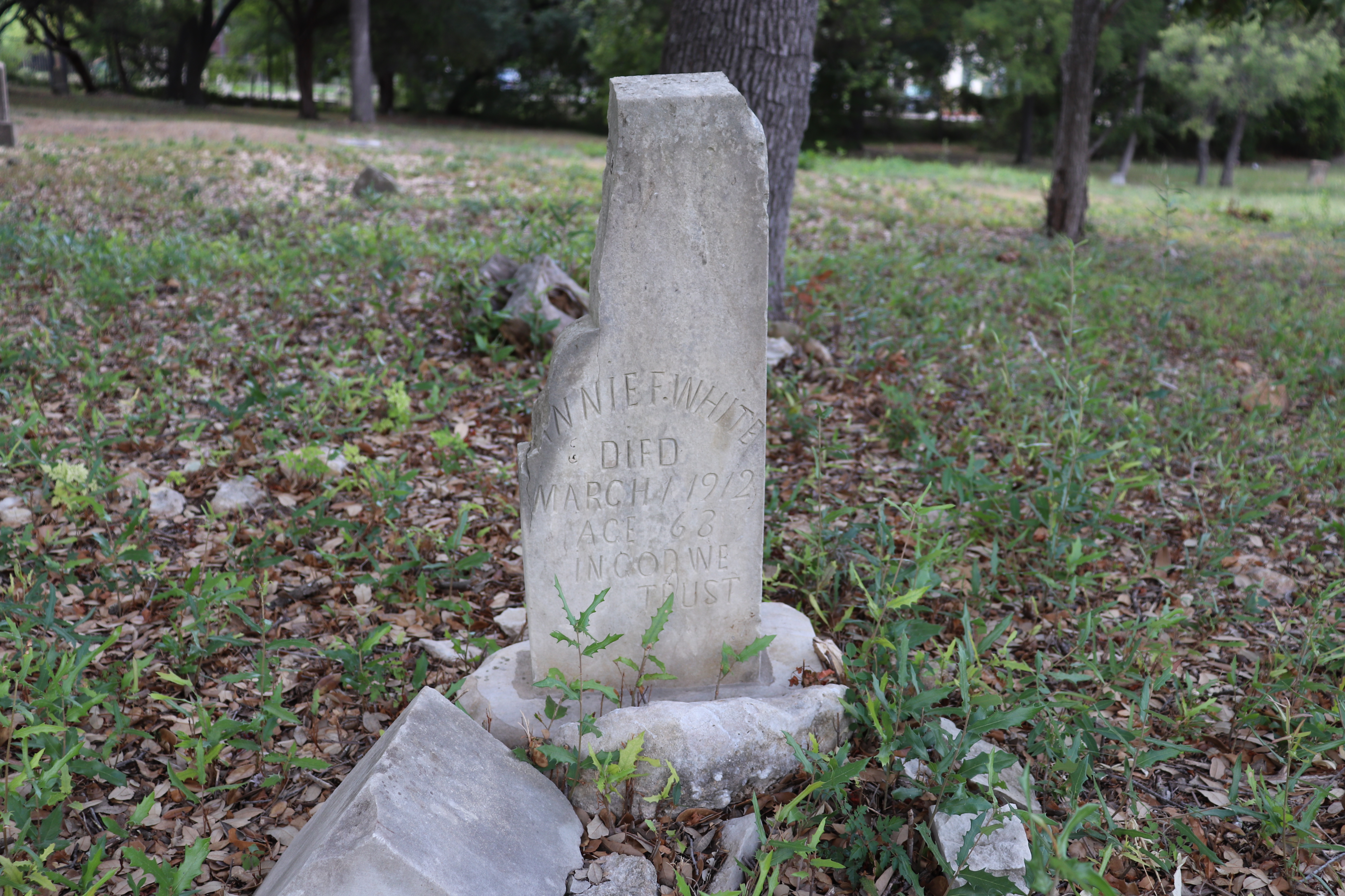 Photographed 21 September 2019.