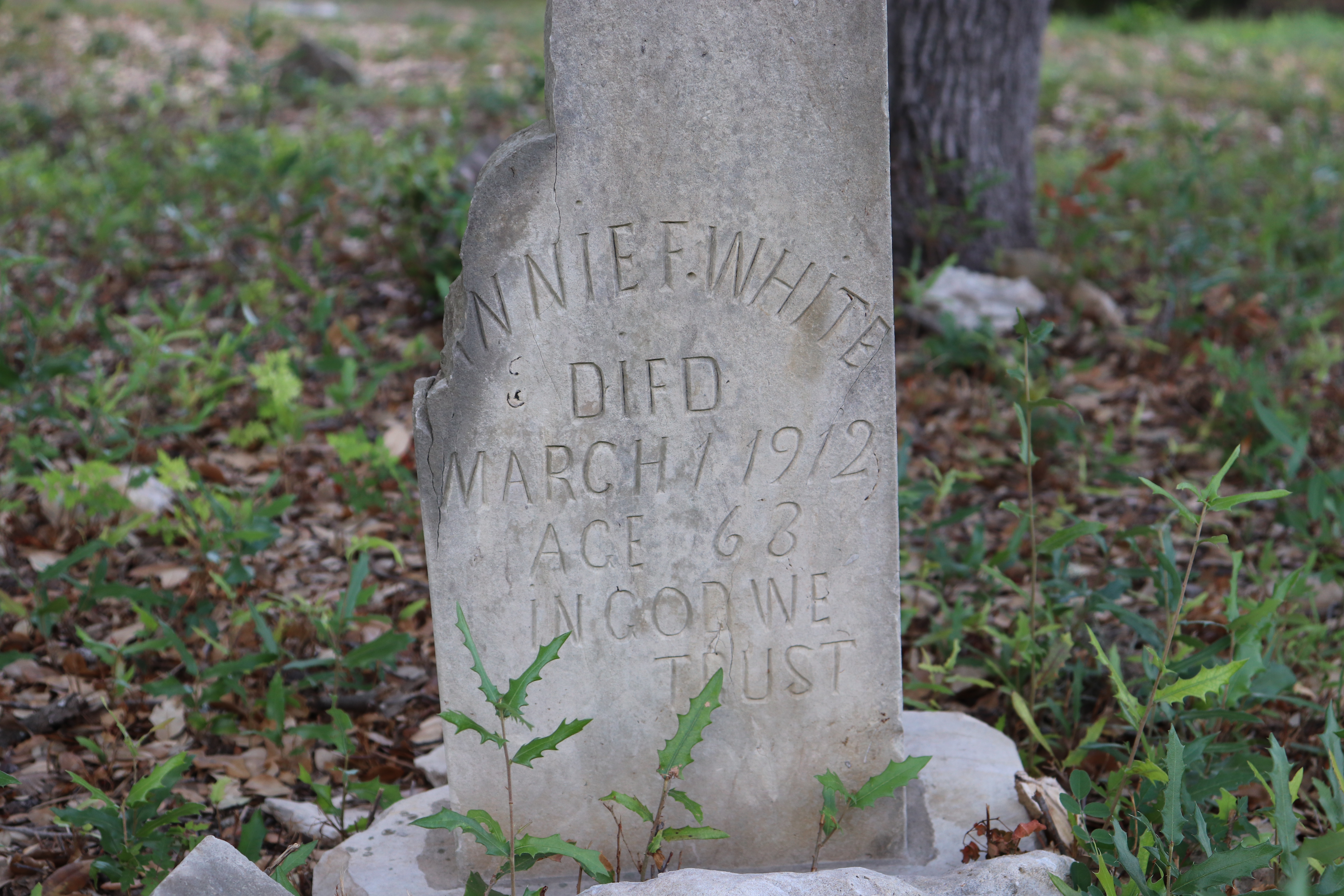 Photographed 21 September 2019.