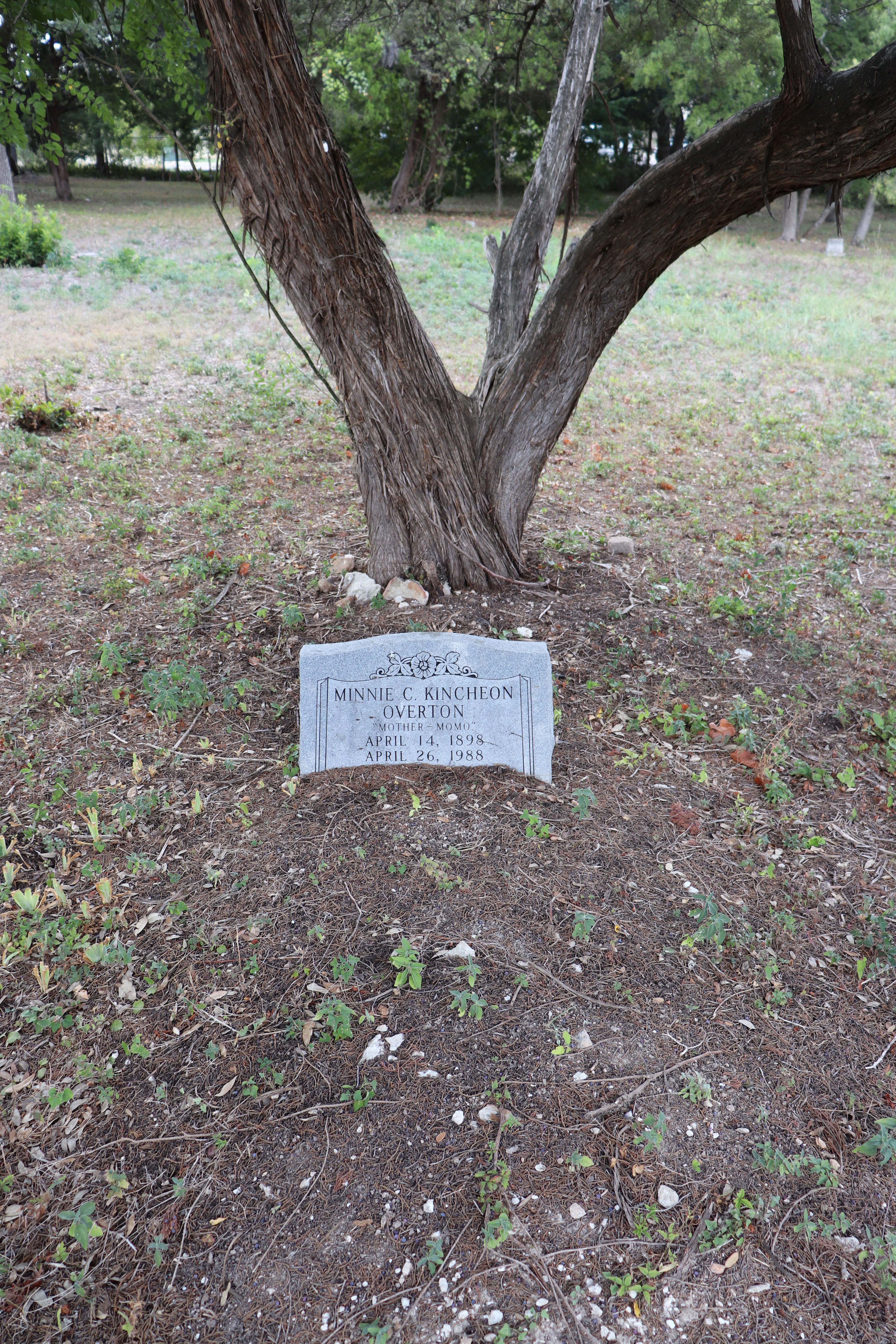 Photographed 21 September 2019.