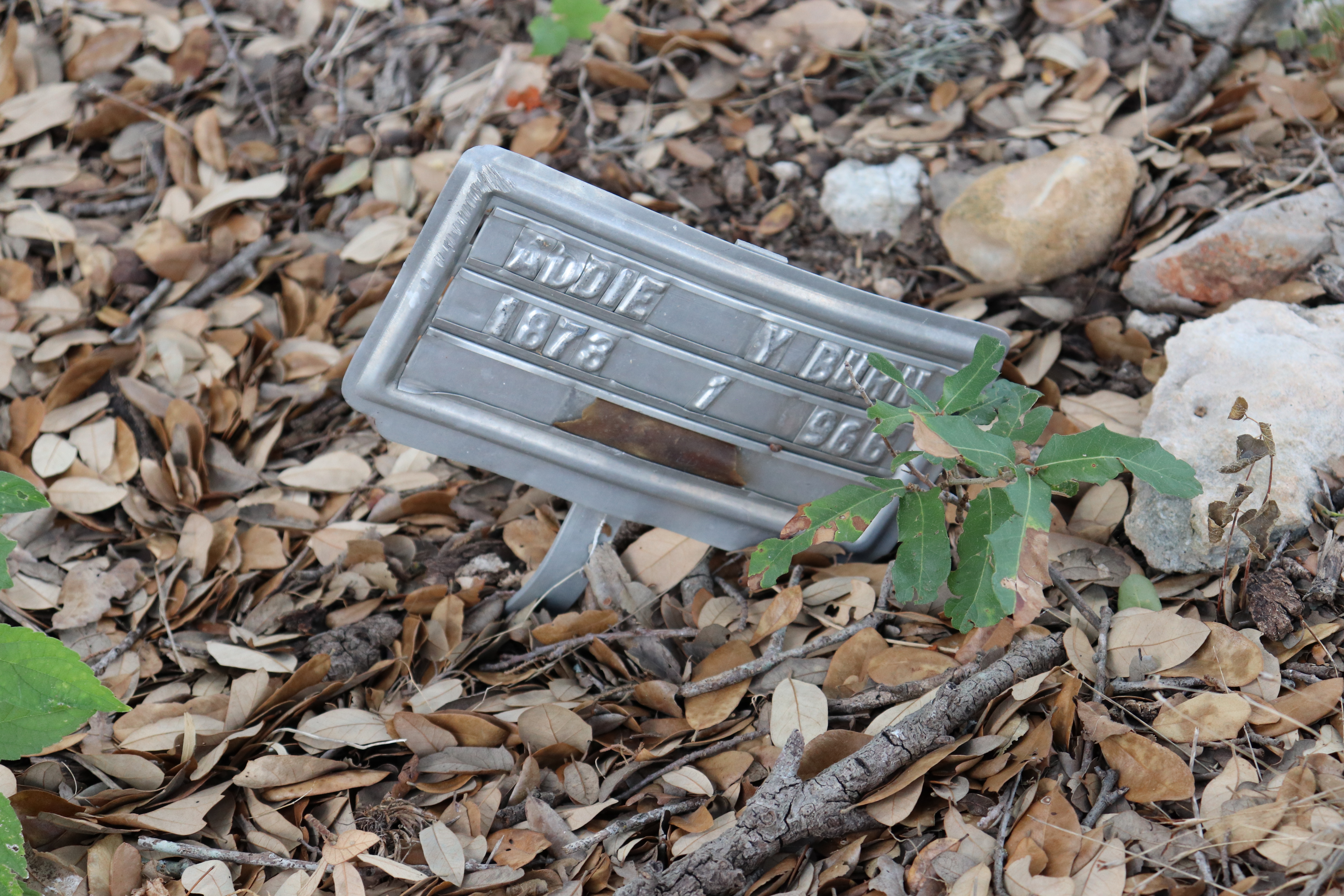 Photographed 21 September 2019.