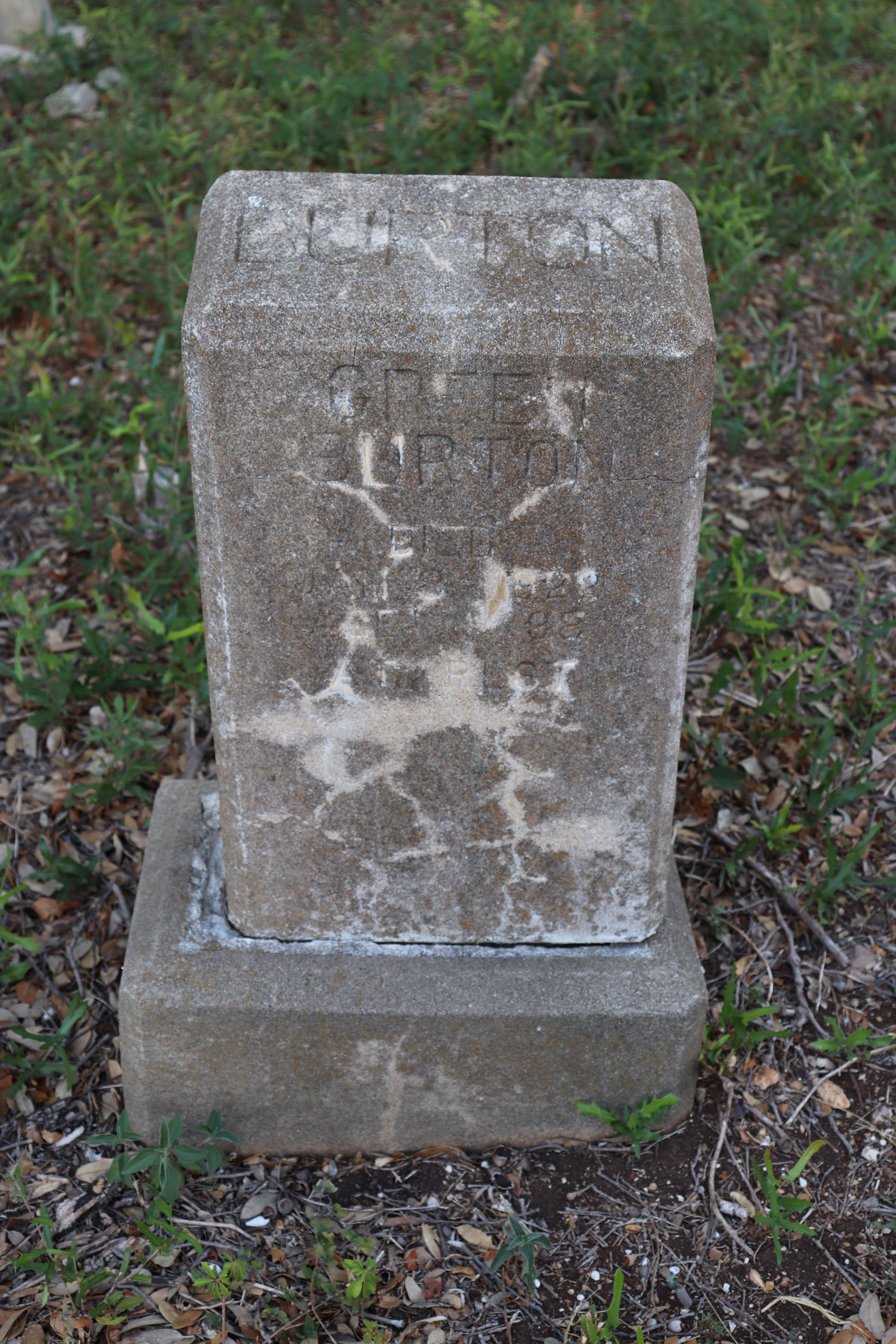 Photographed 21 September 2019.