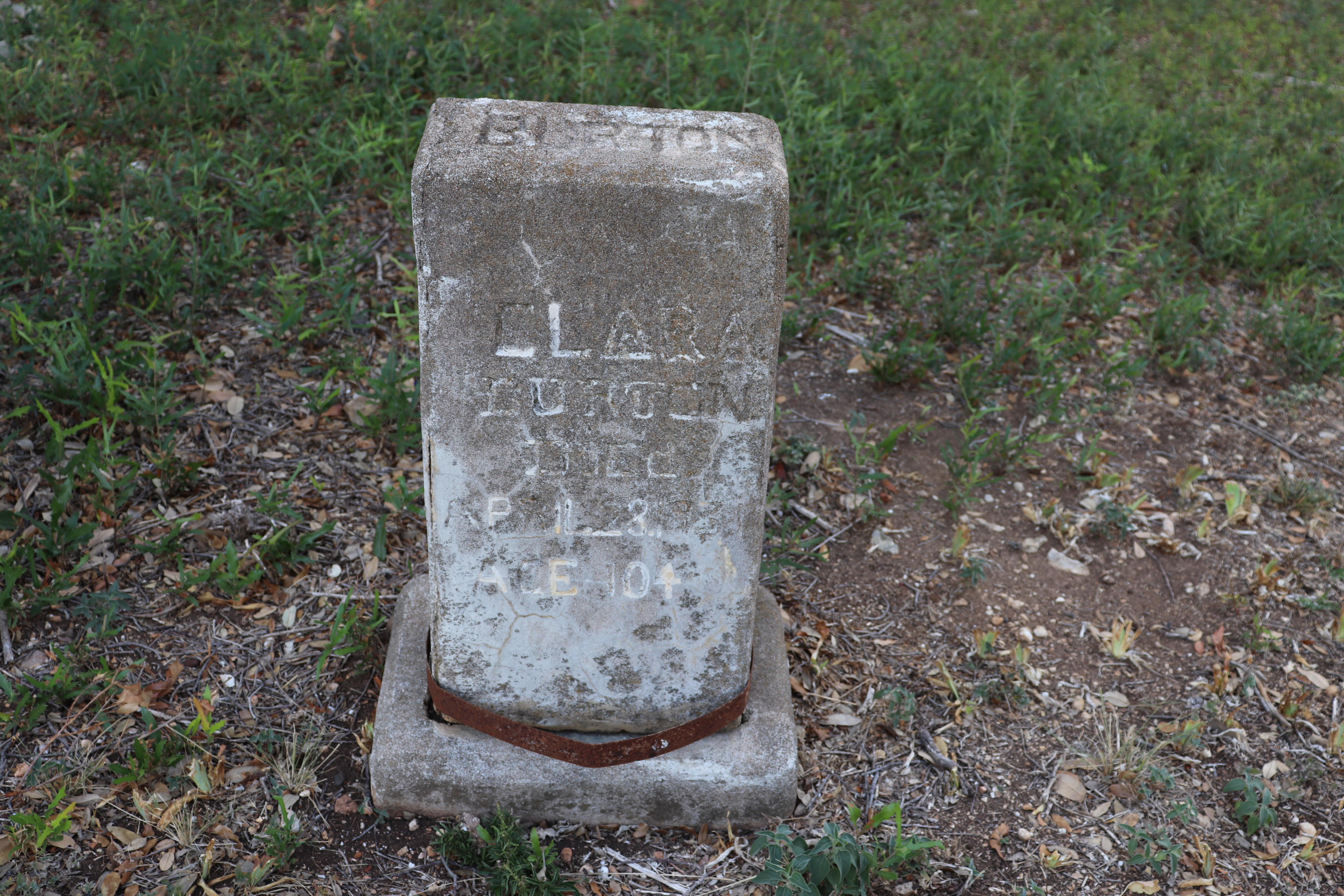 Photographed 21 September 2019.