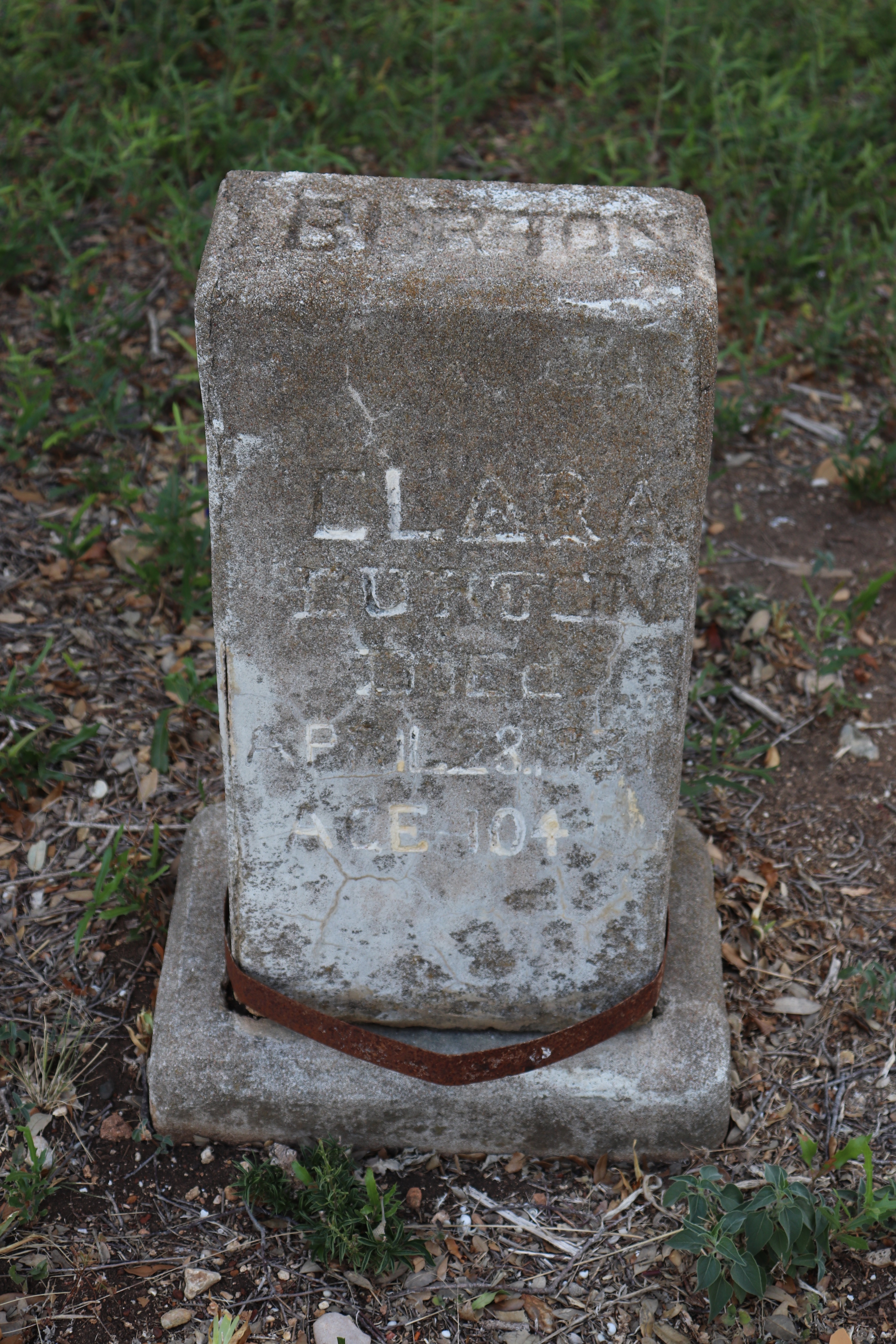 Photographed 21 September 2019.