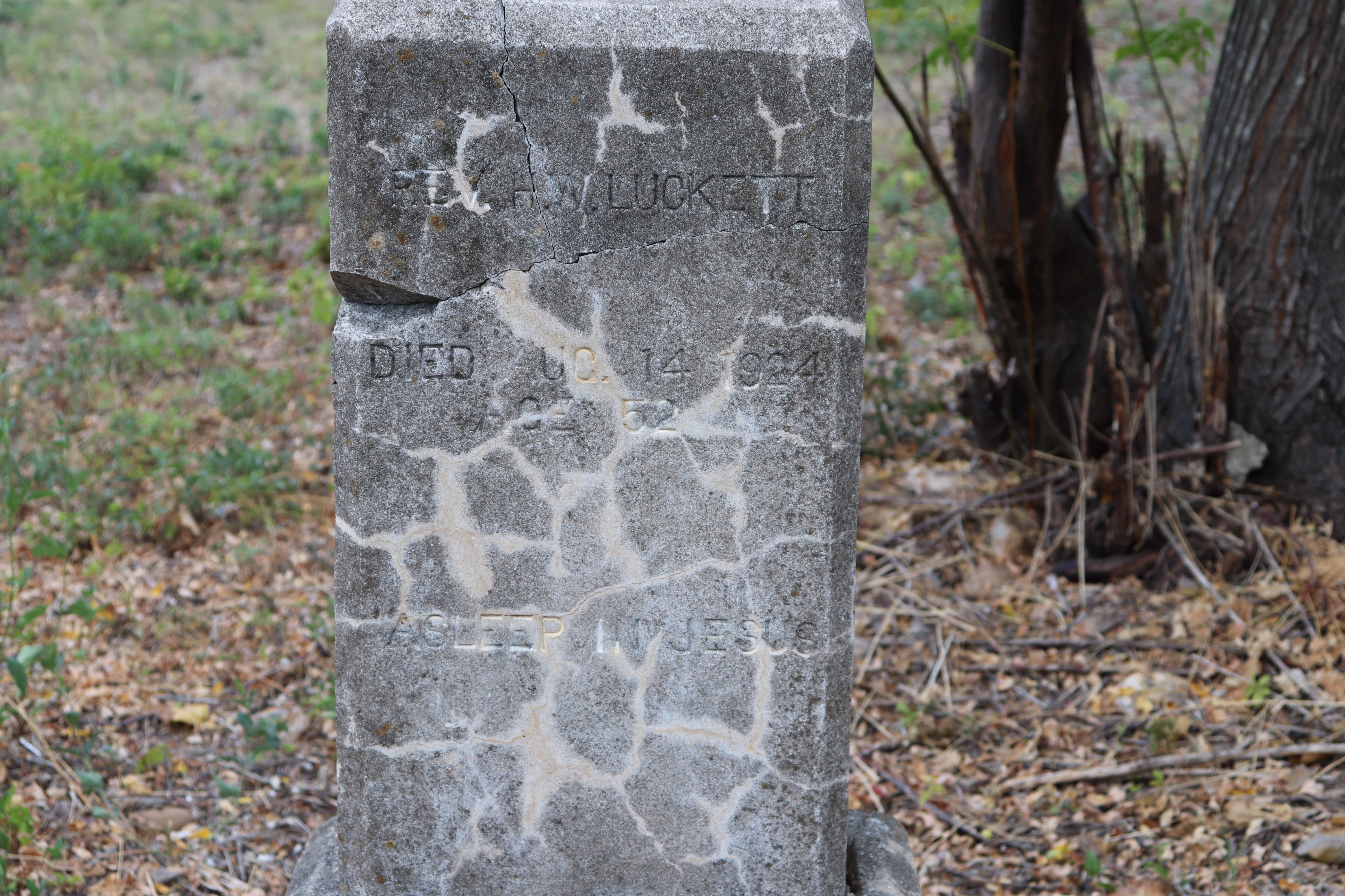 Photographed 21 September 2019.