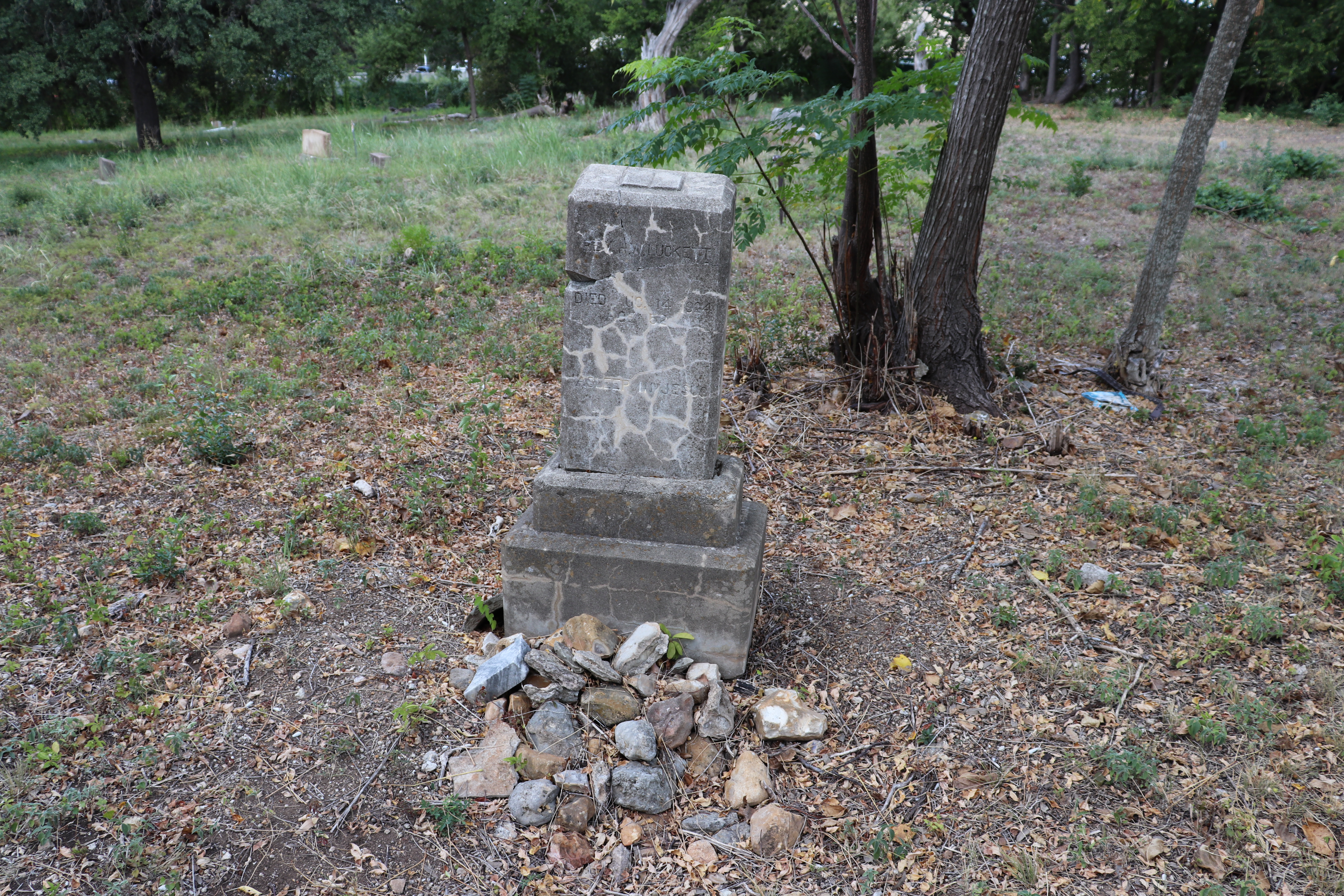 Photographed 21 September 2019.