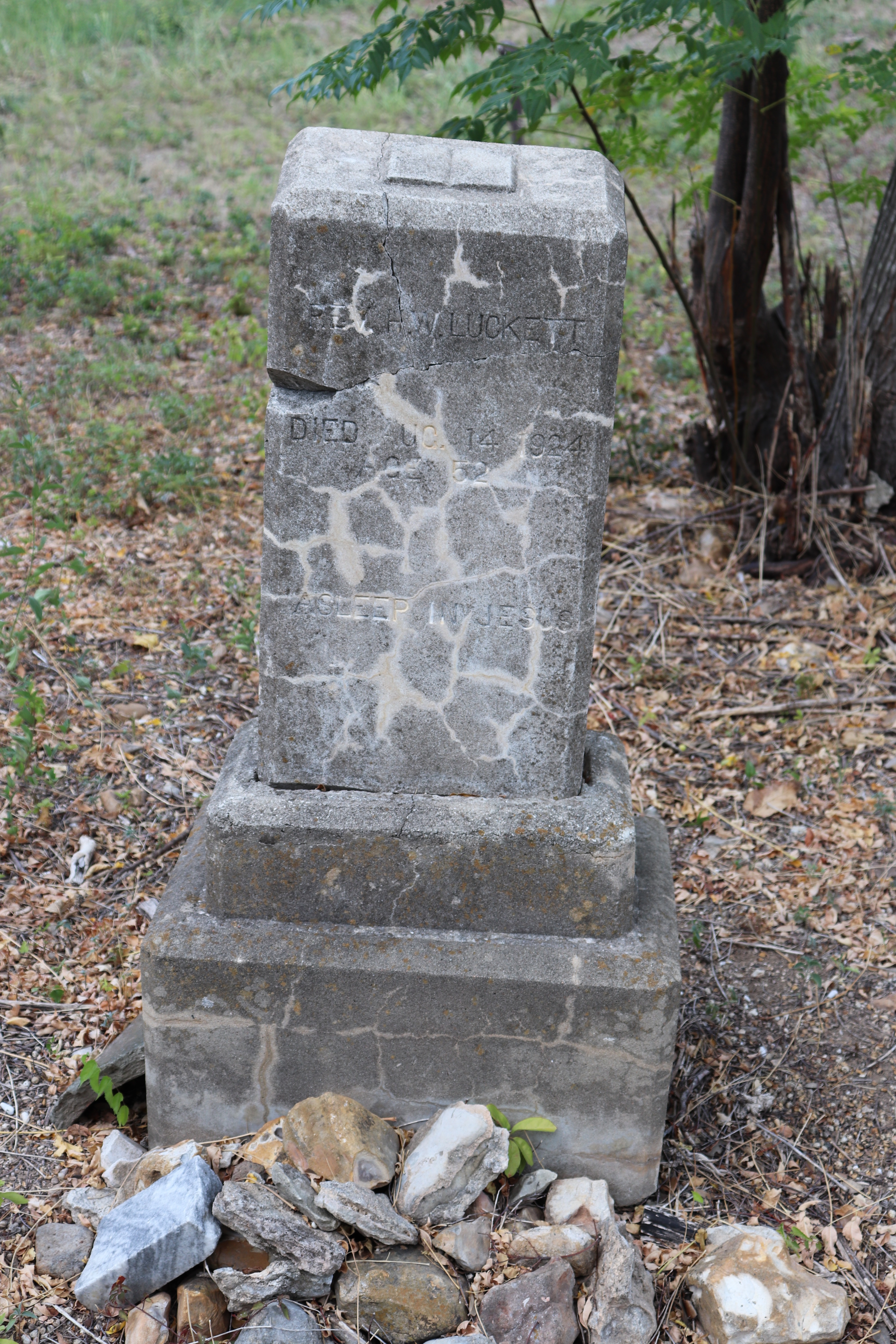 Photographed 21 September 2019.