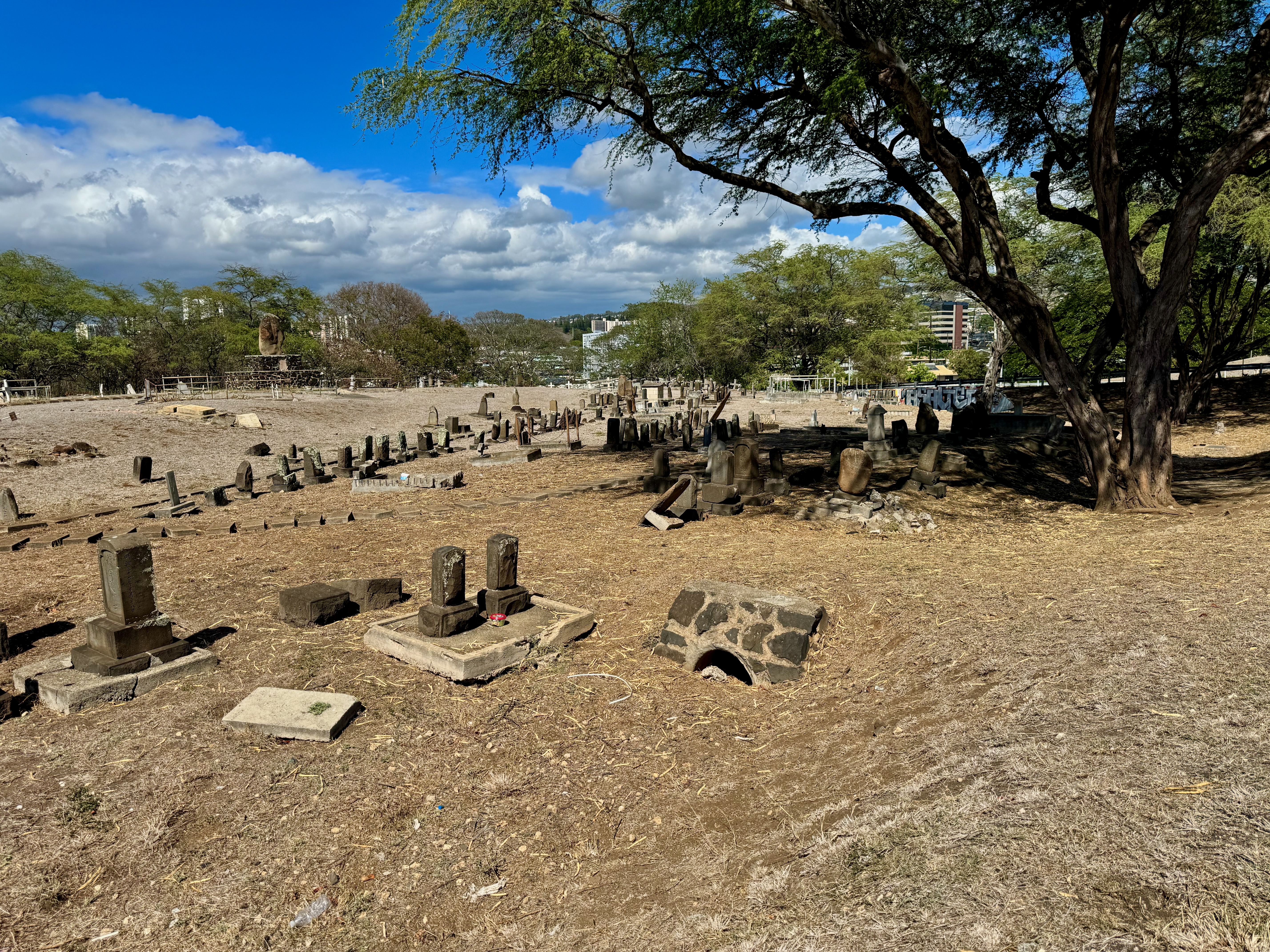 Photographed 18 November 2023.