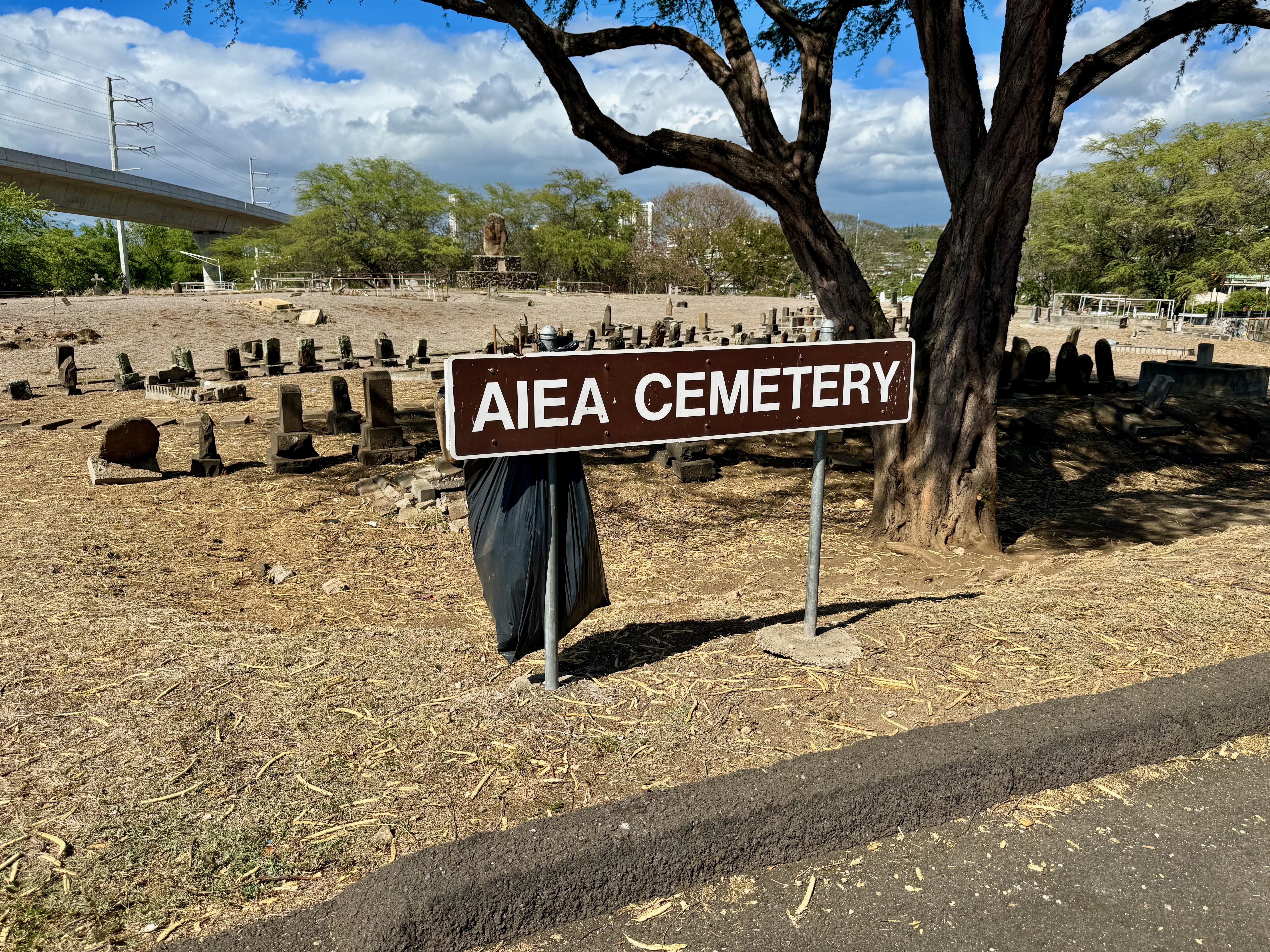 Photographed 18 November 2023.