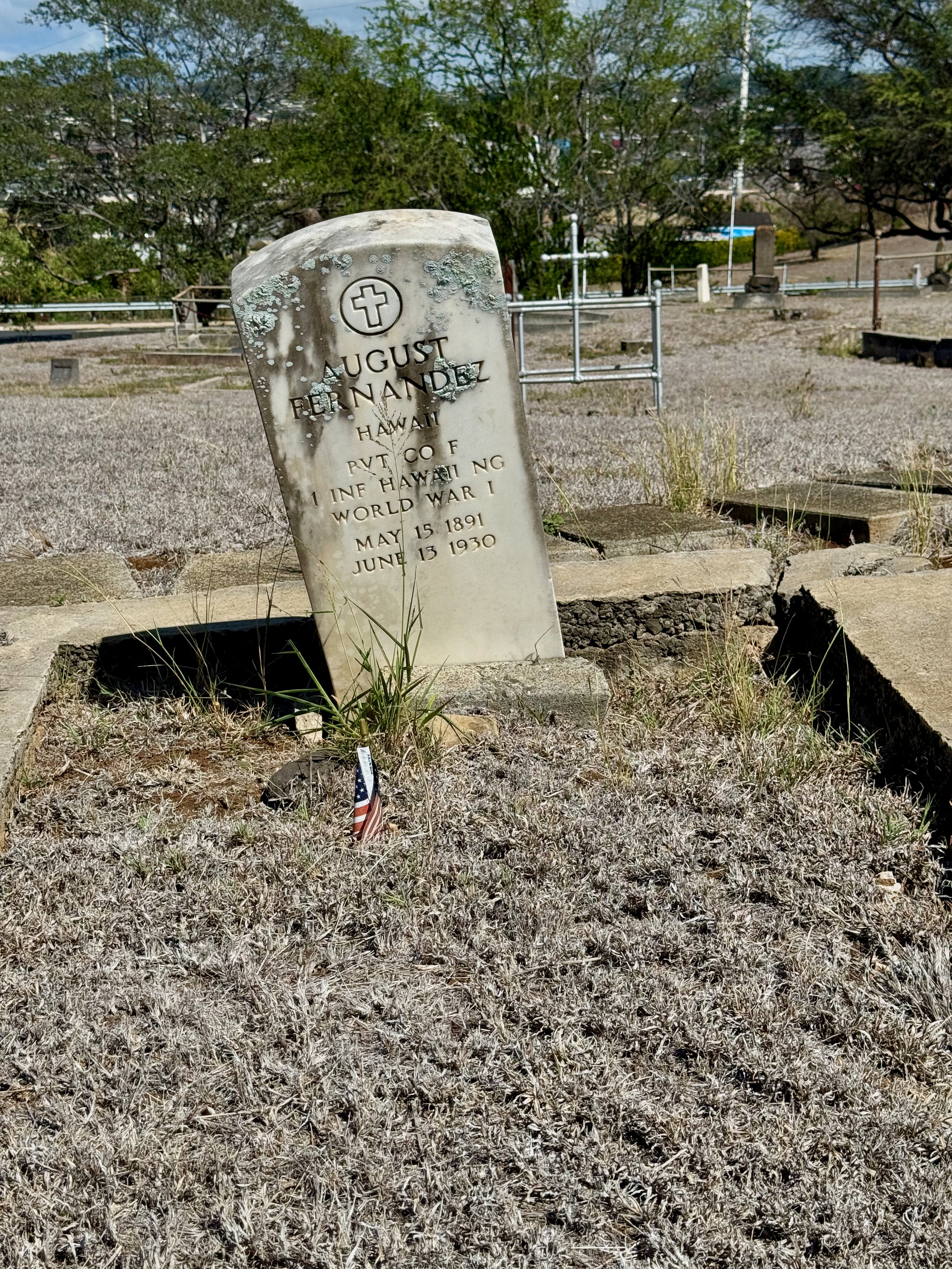 Photographed 18 November 2023.