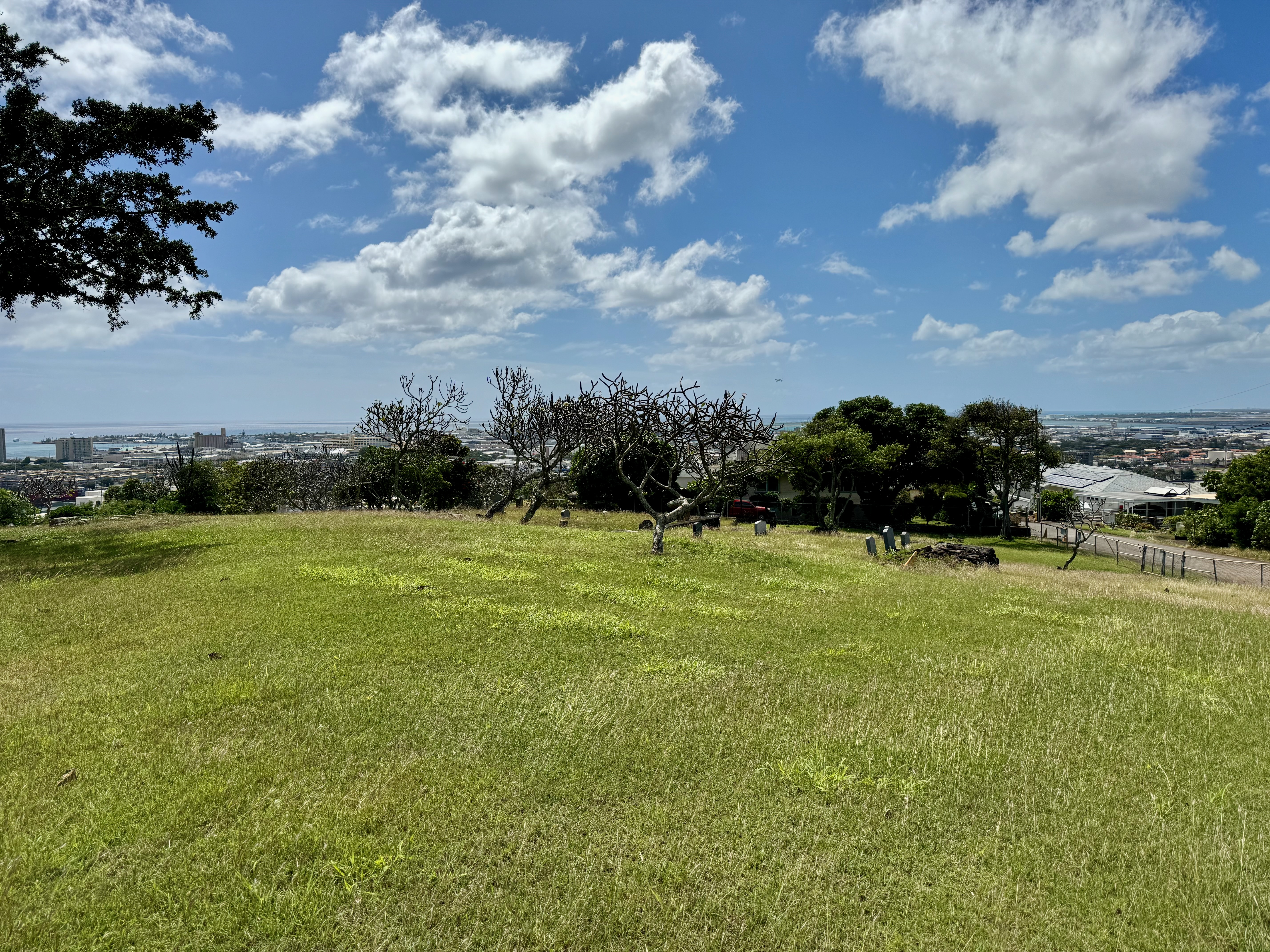 Photographed 2024.02.25.