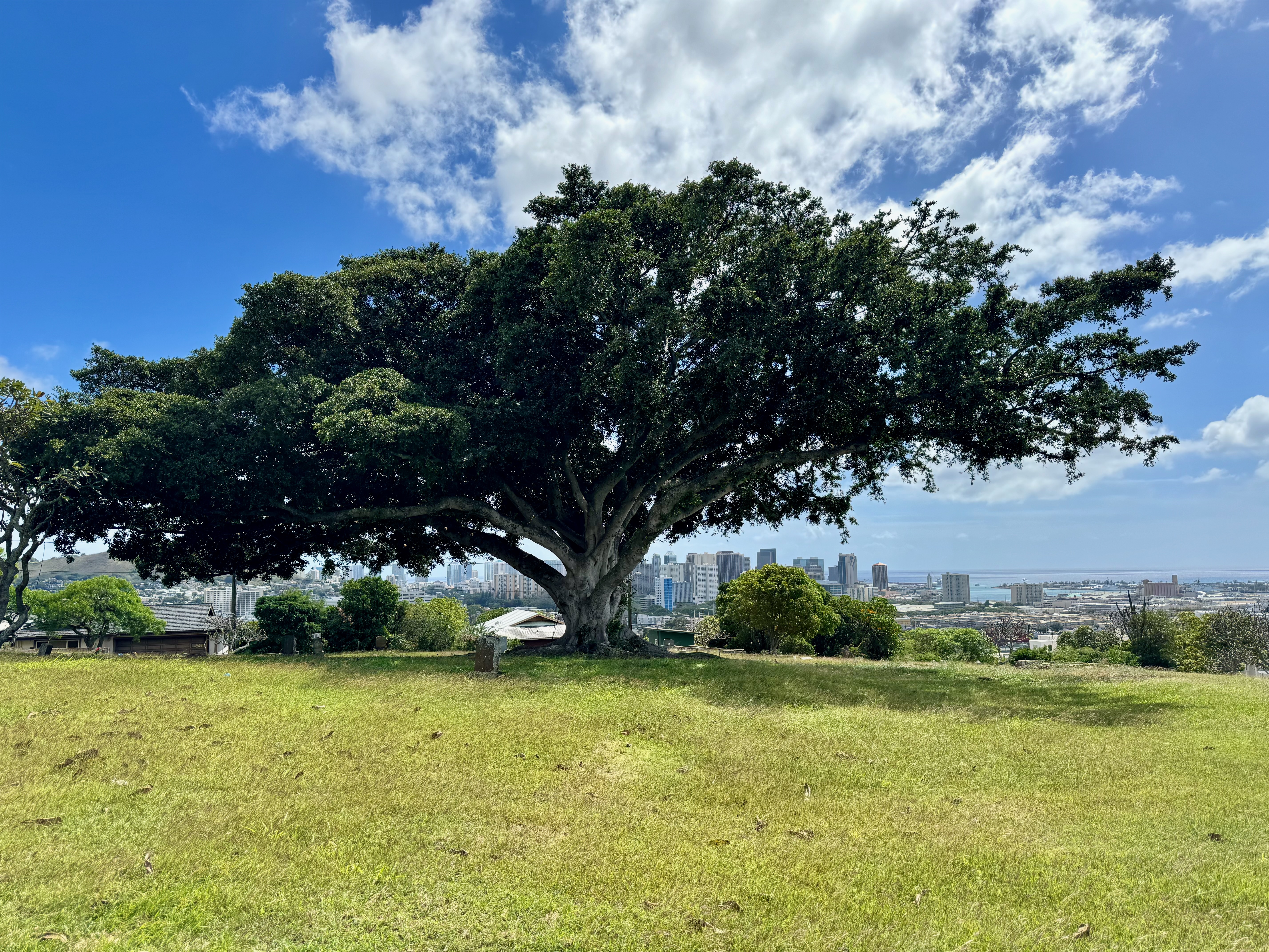 Photographed 2024.02.25.