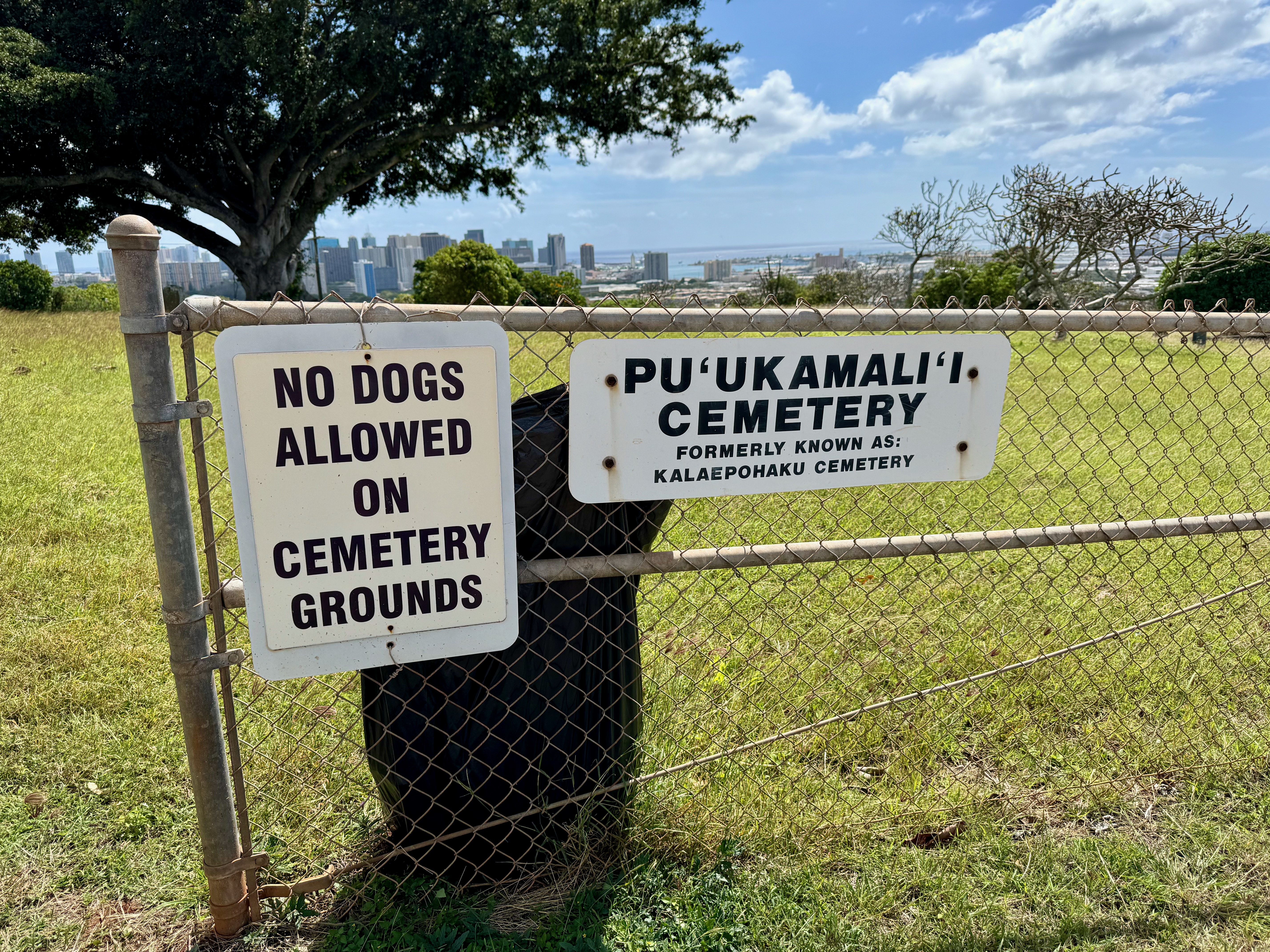 Photographed 2024.02.25.