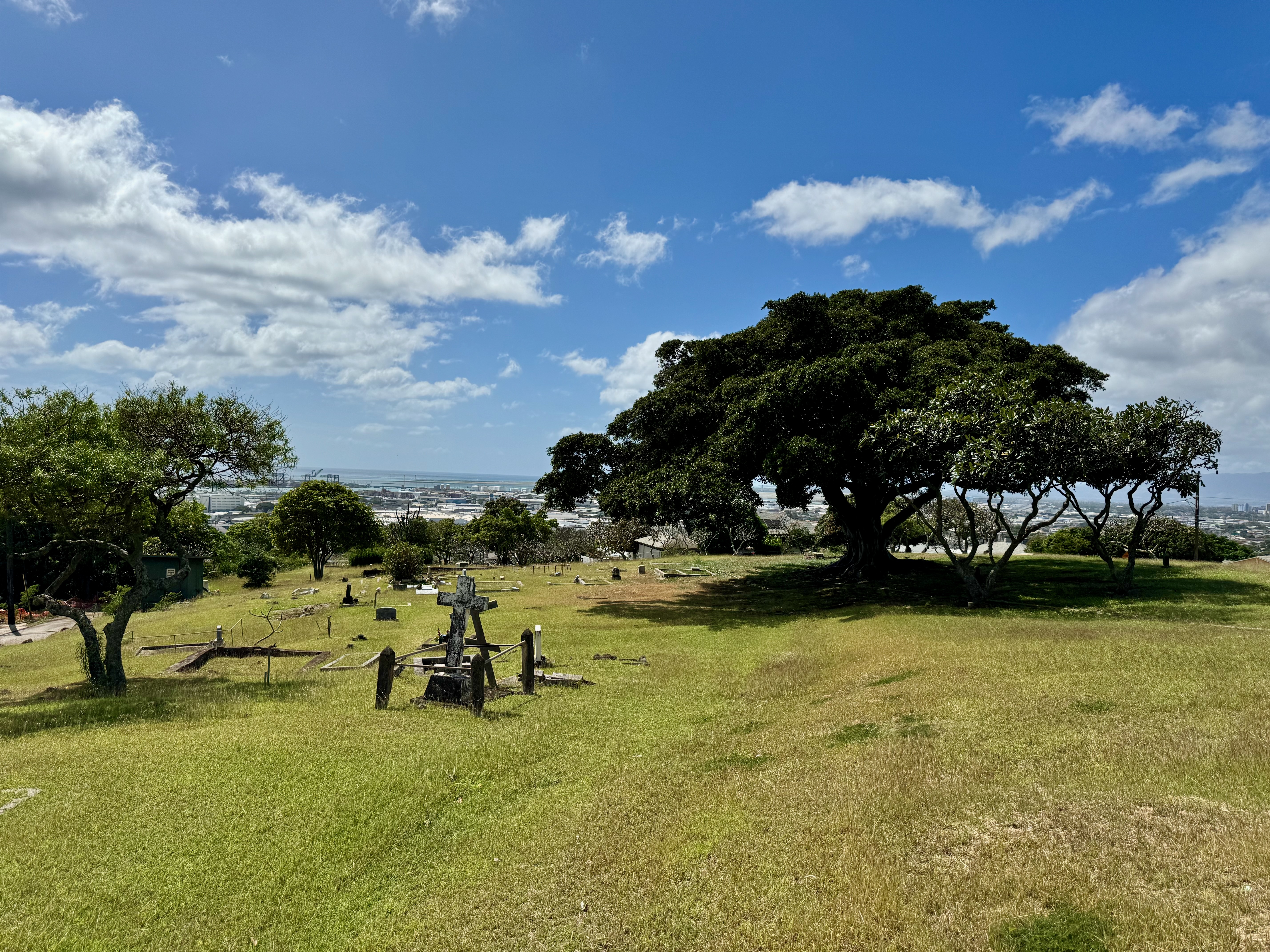 Photographed 2024.02.25.