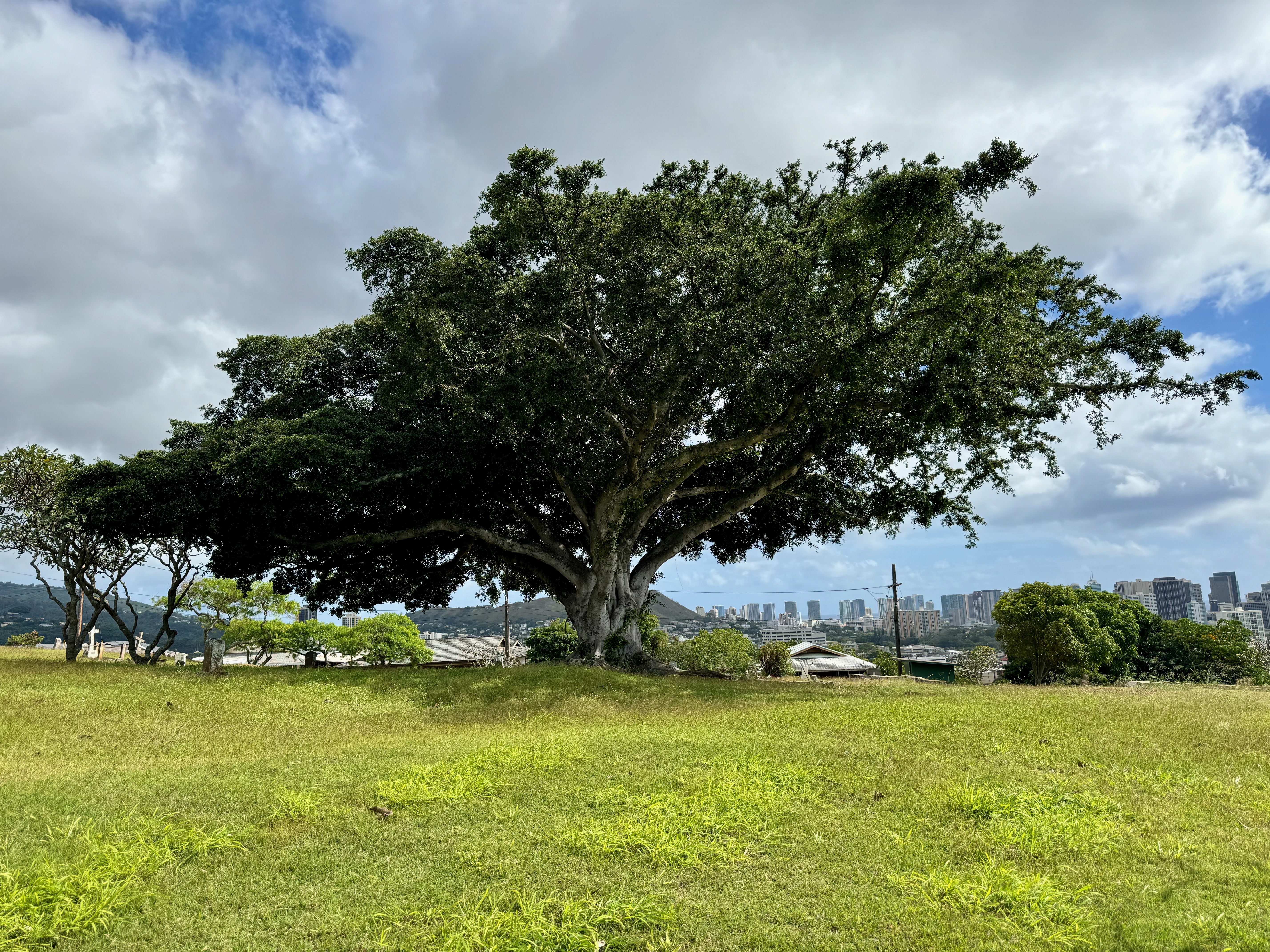 Photographed 2024.02.25.