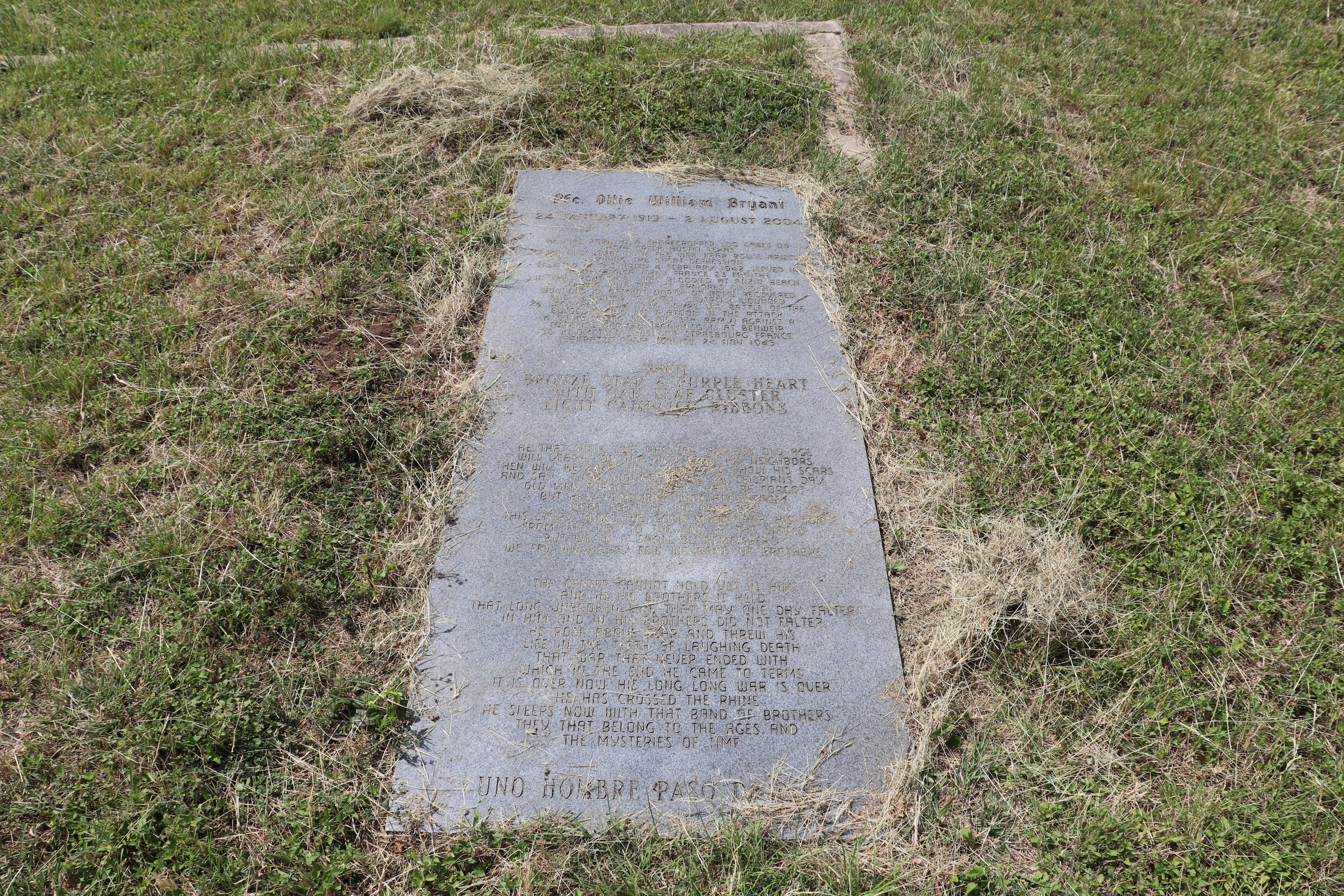 Photographed 22 May 2020.