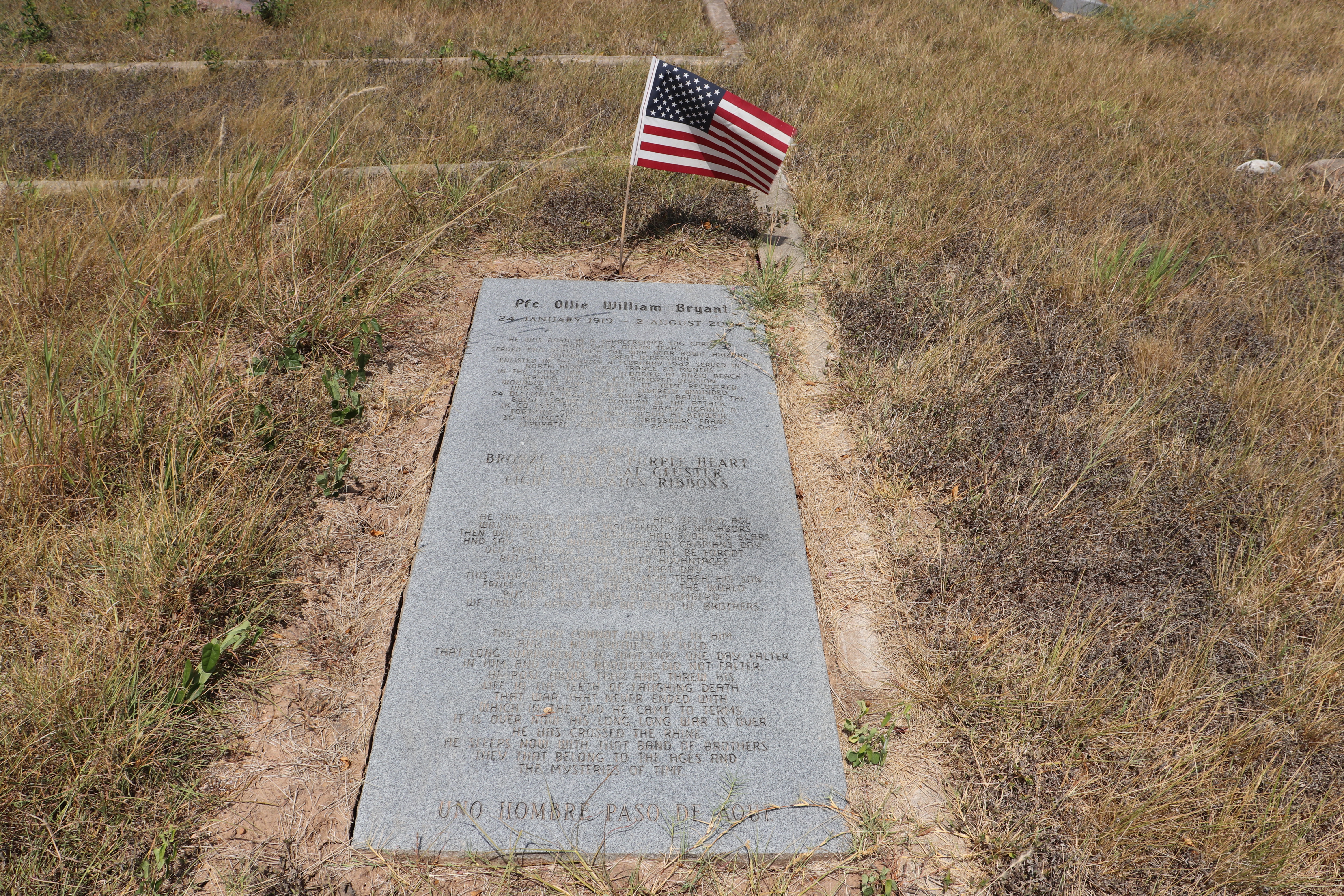 Photographed 18 Aug 2019.