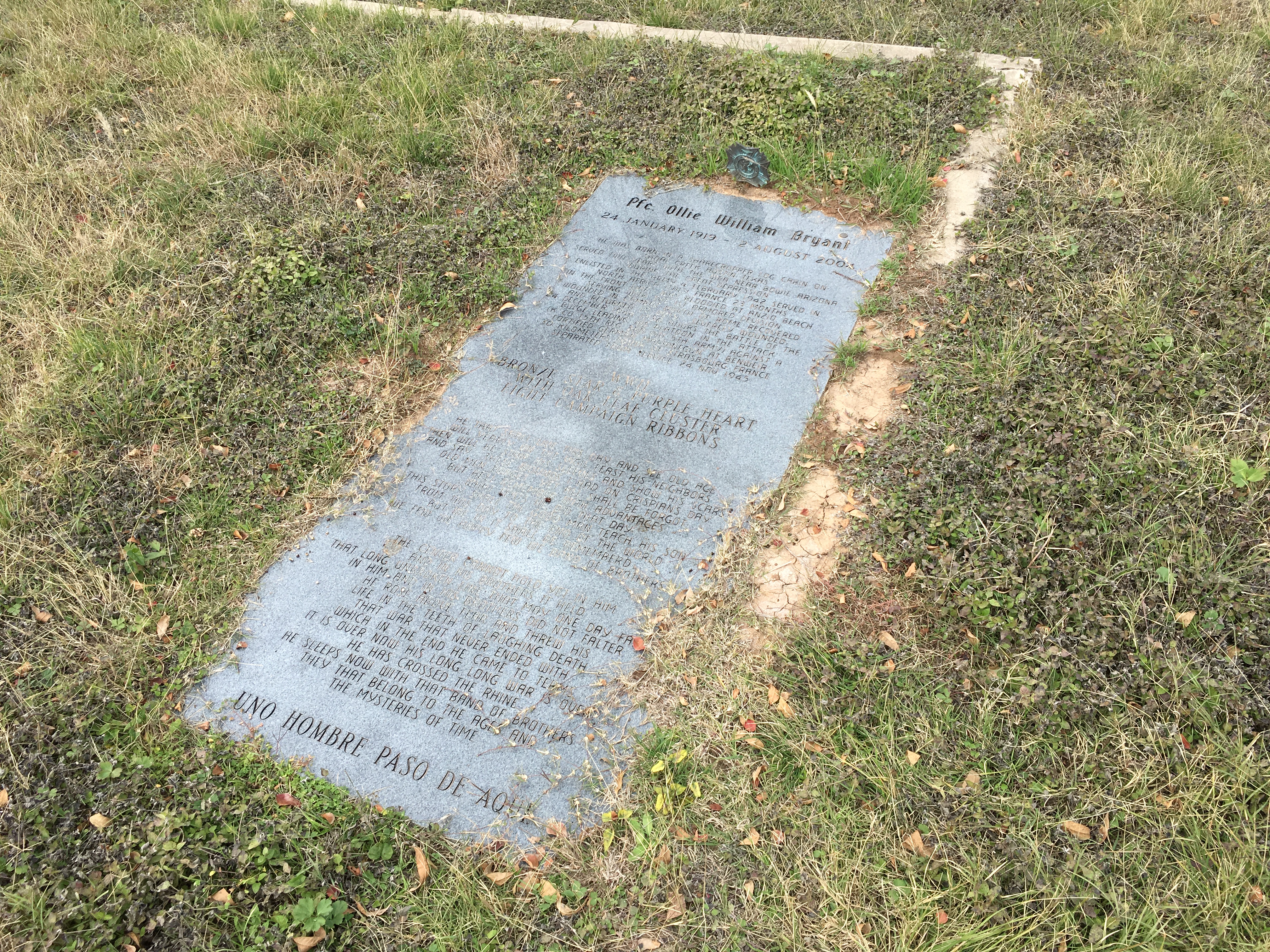 Photographed 30 Dec 2017.