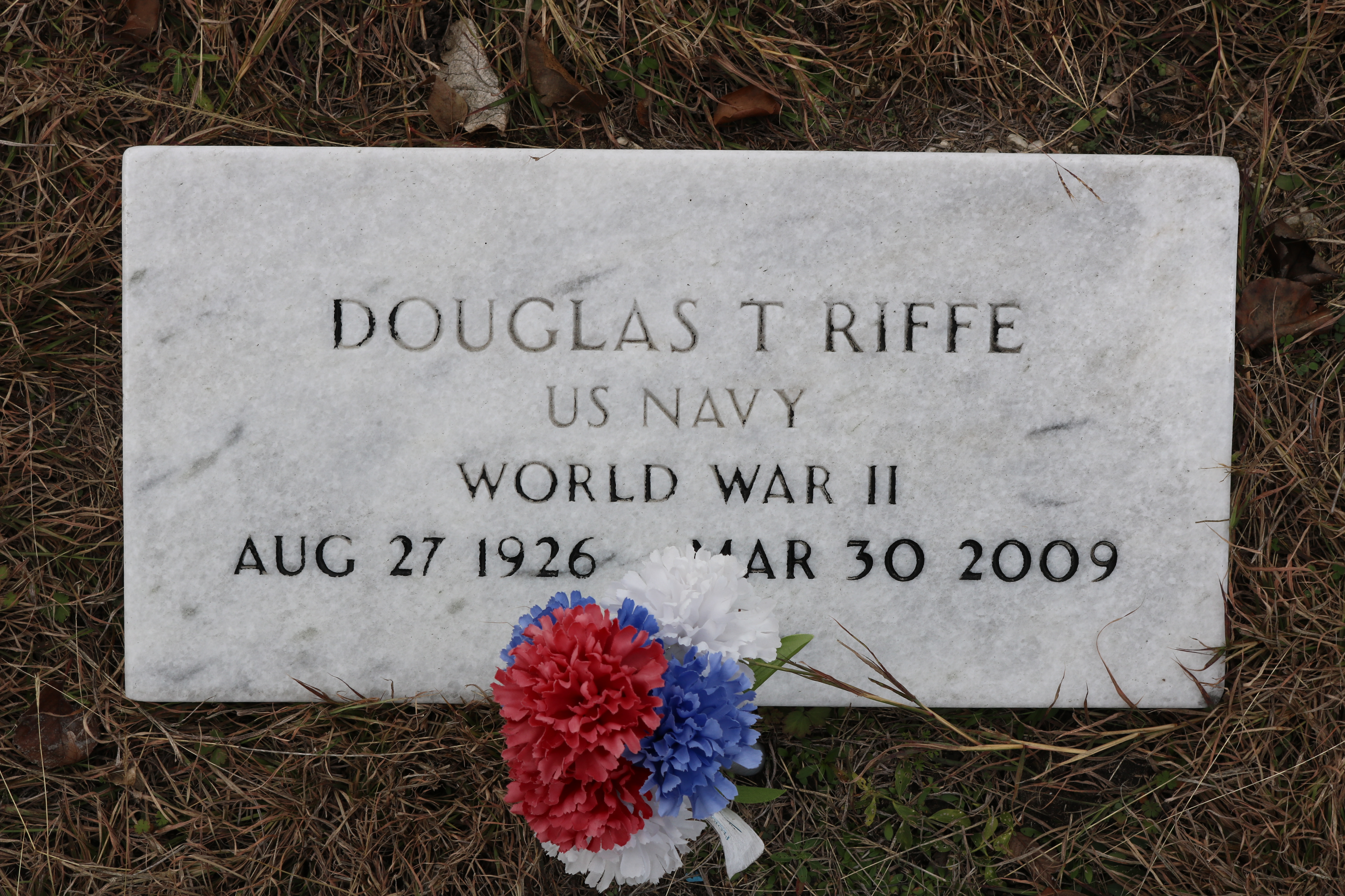 Photographed 30 Dec 2017.