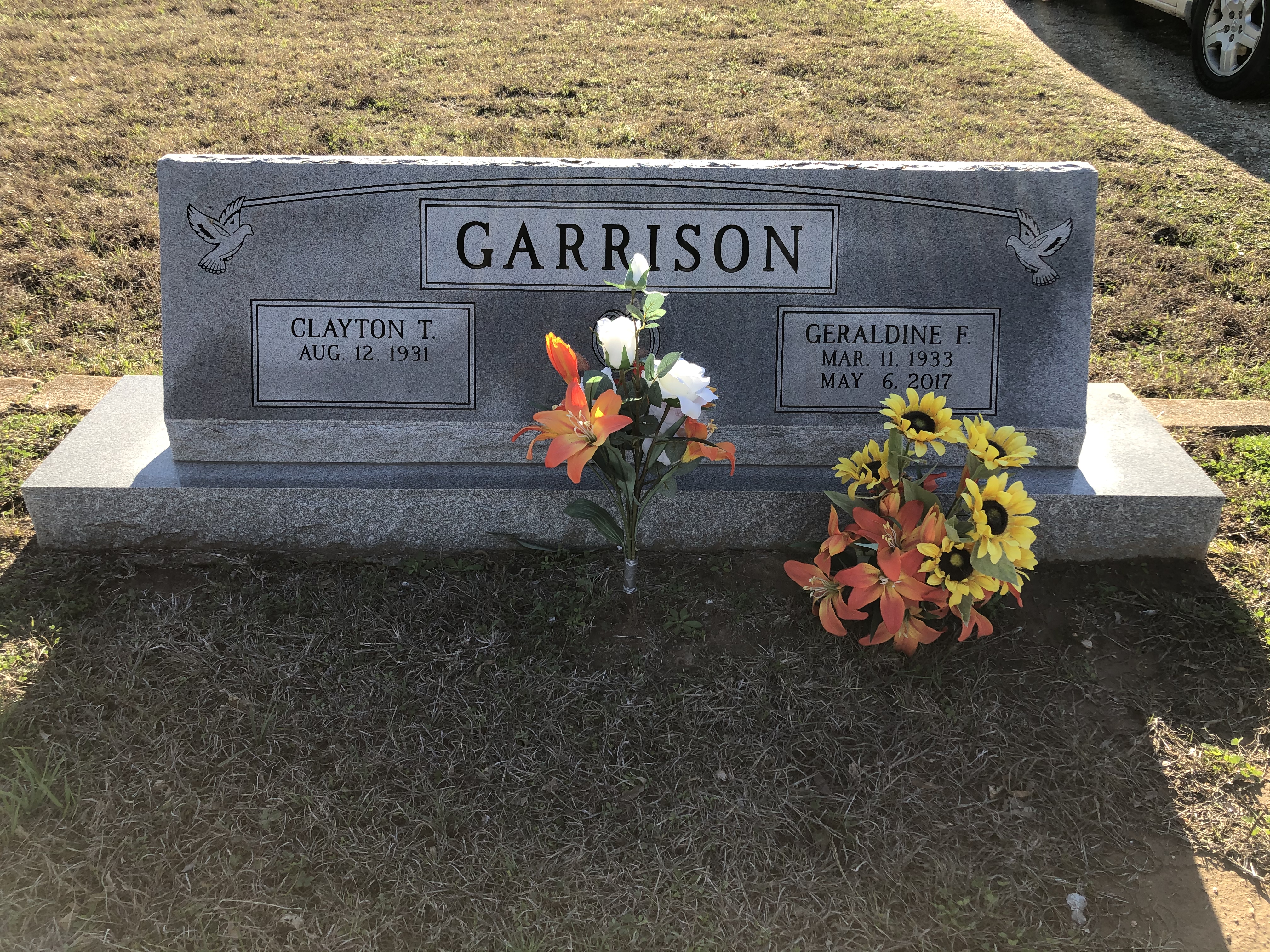 Photographed 24 Jan 2020.