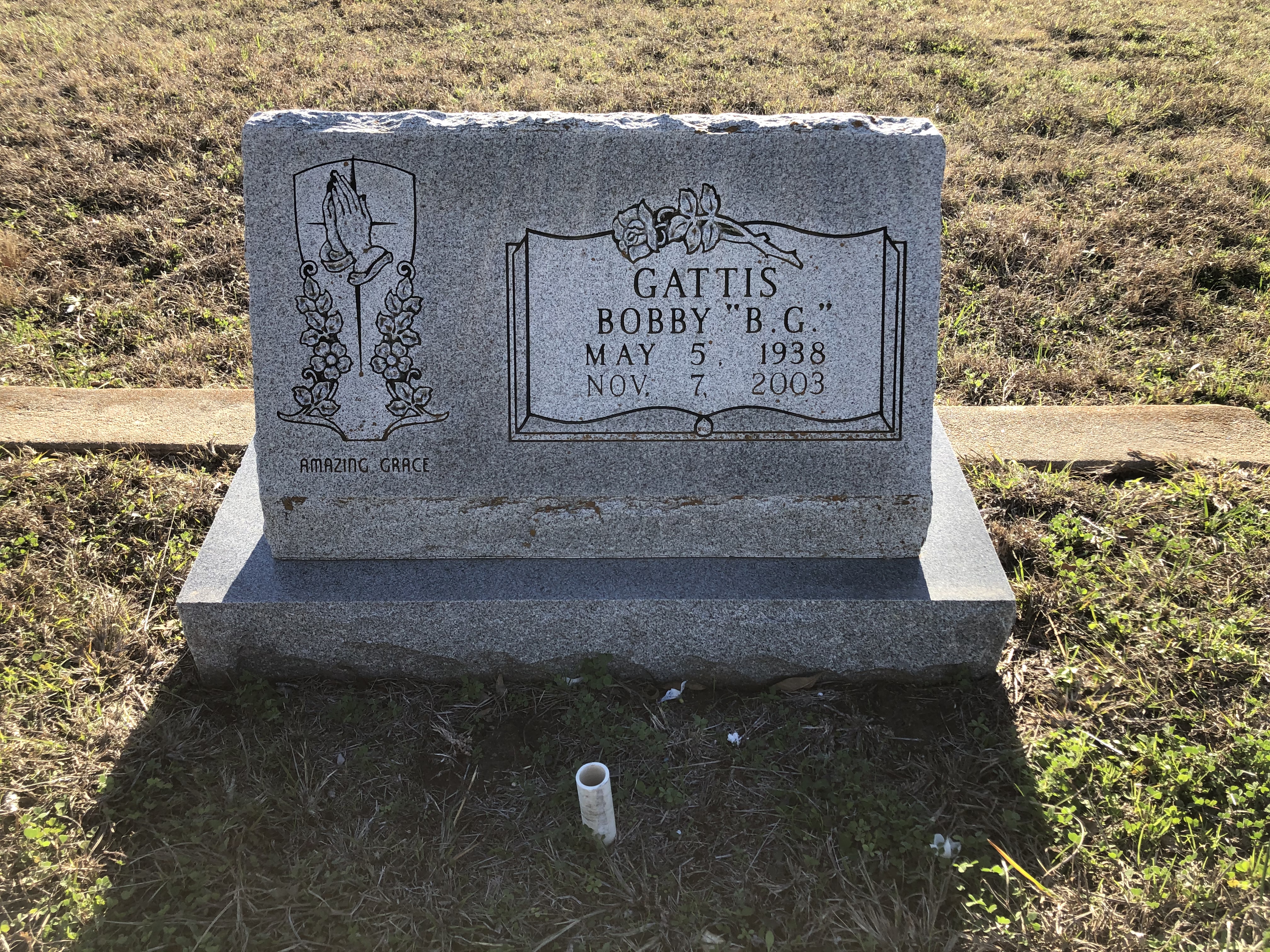 Photographed 24 Jan 2020.