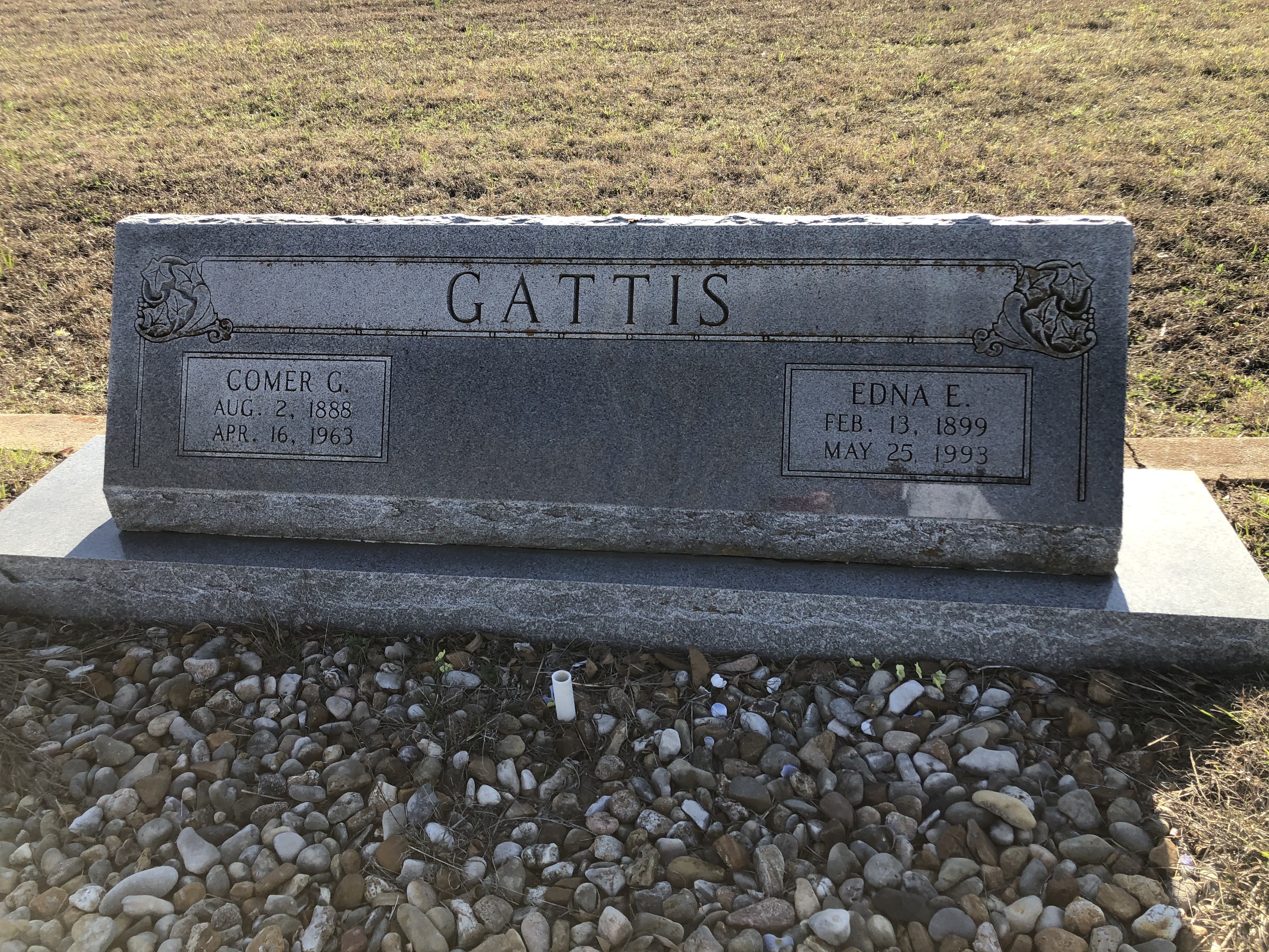 Photographed 24 Jan 2020.