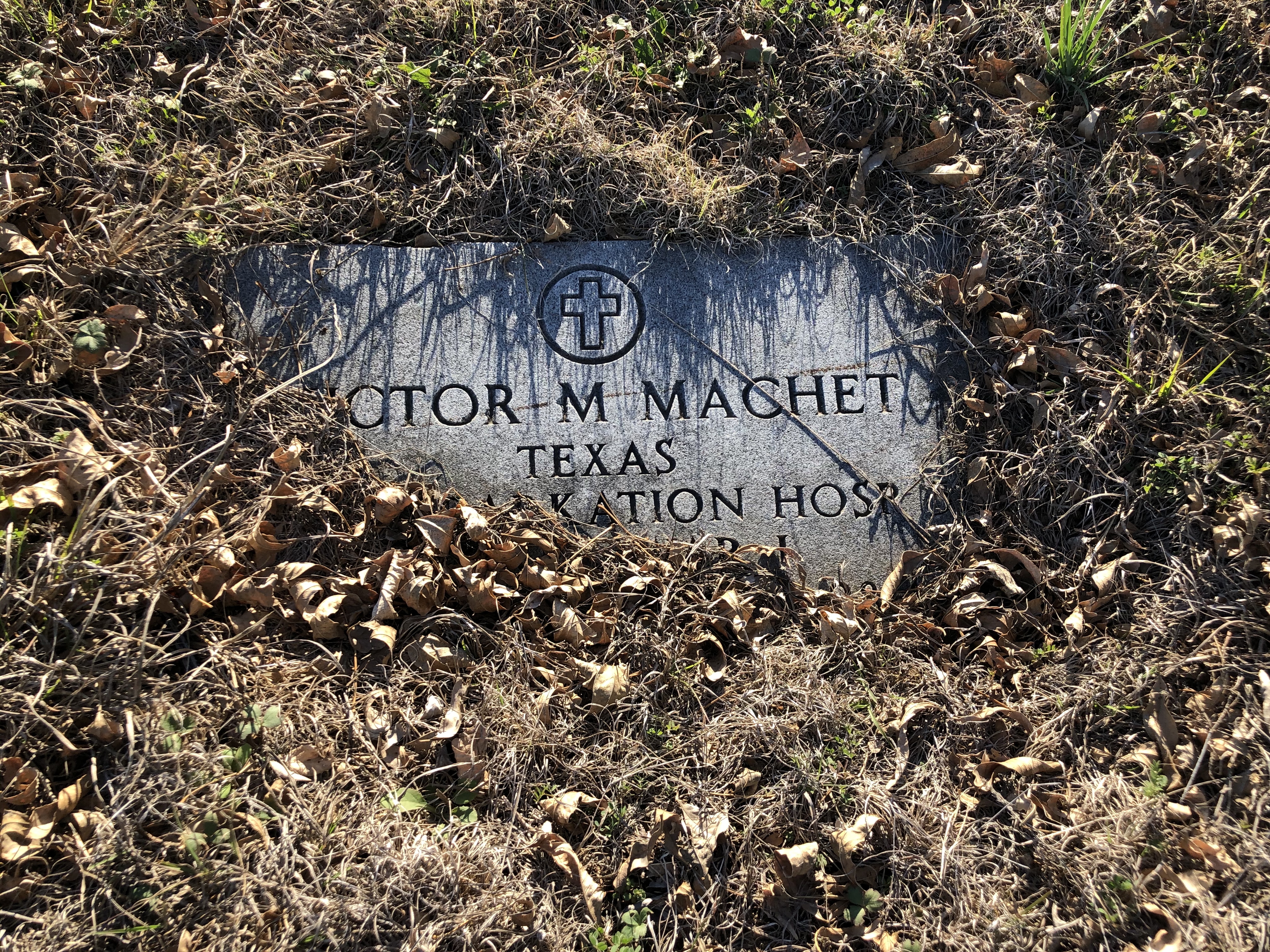 Photographed 24 Jan 2020.