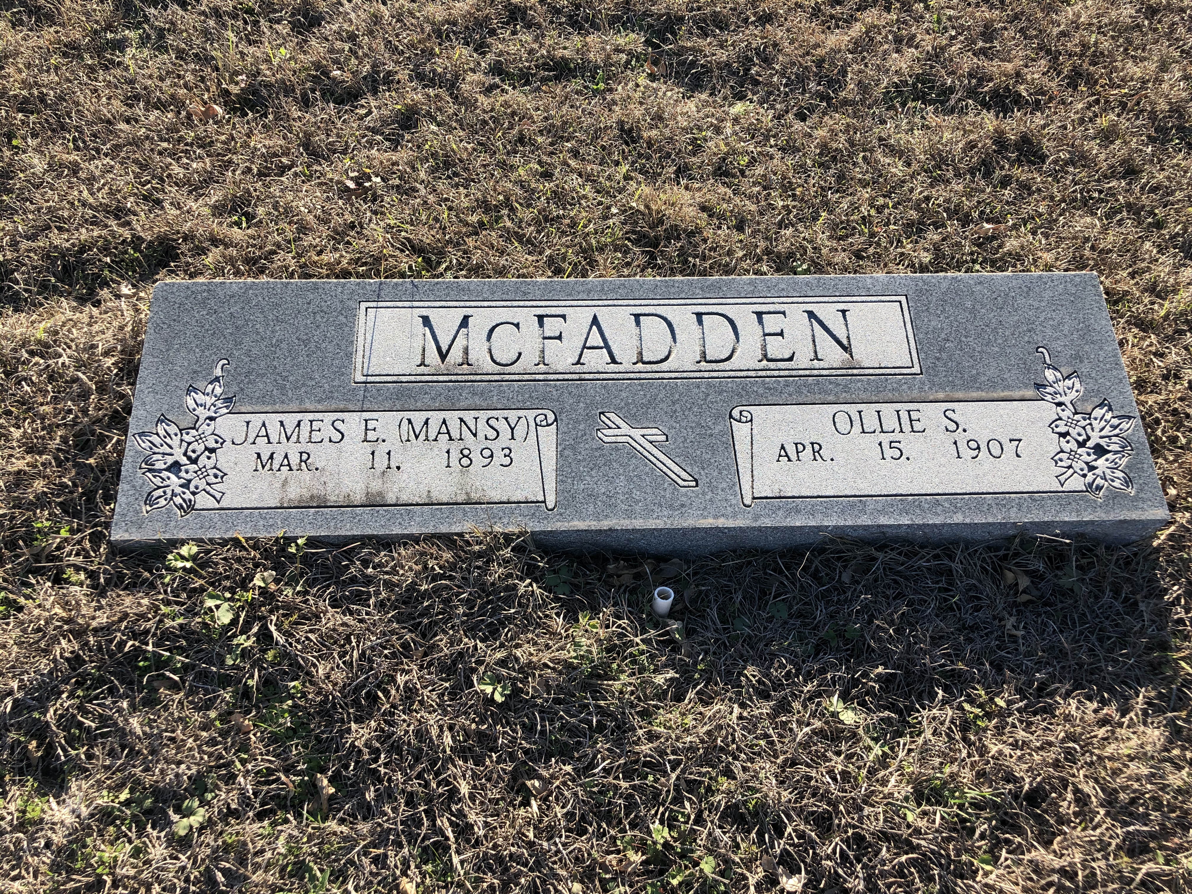 Photographed 24 Jan 2020.