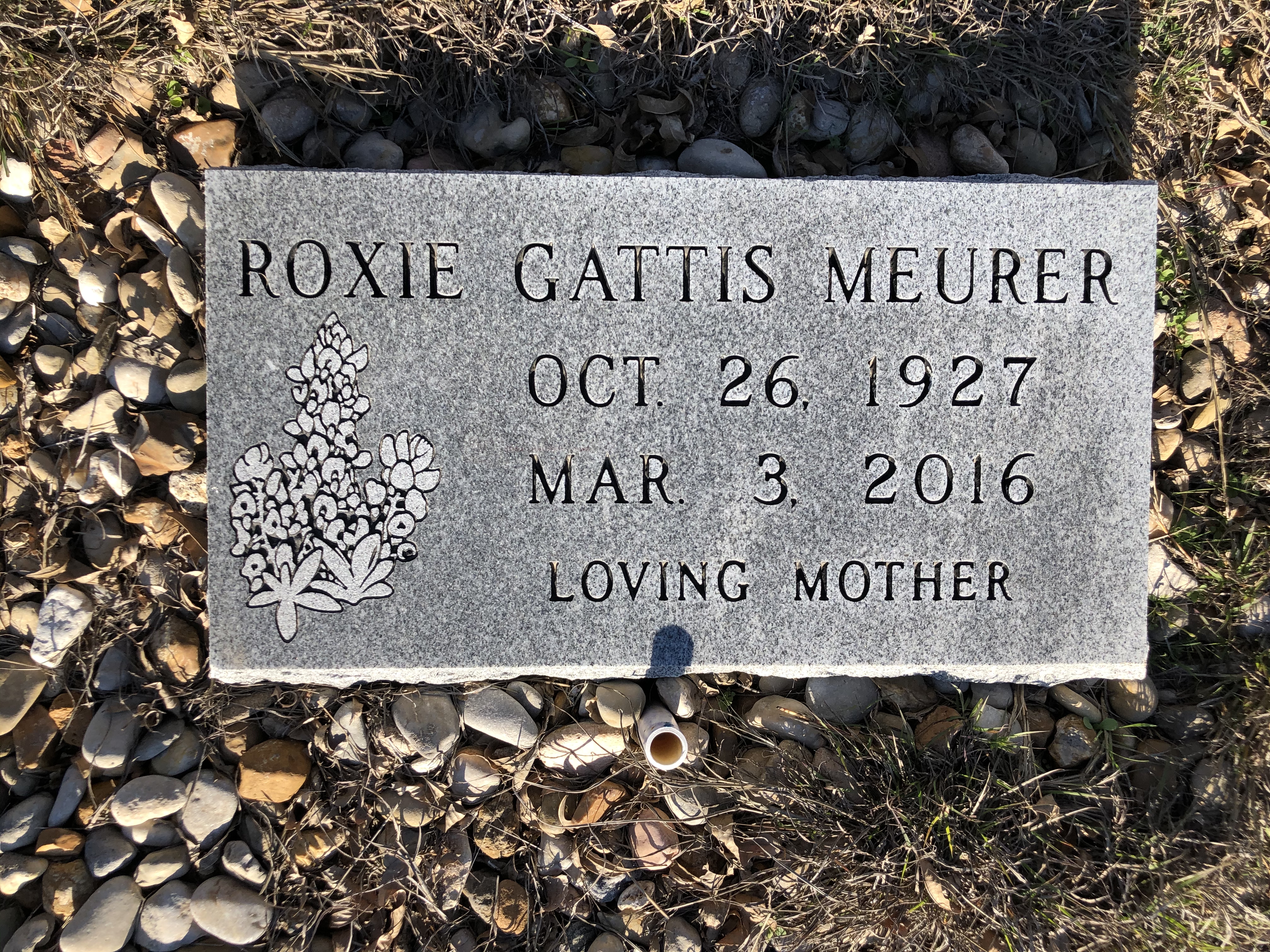 Photographed 24 Jan 2020.