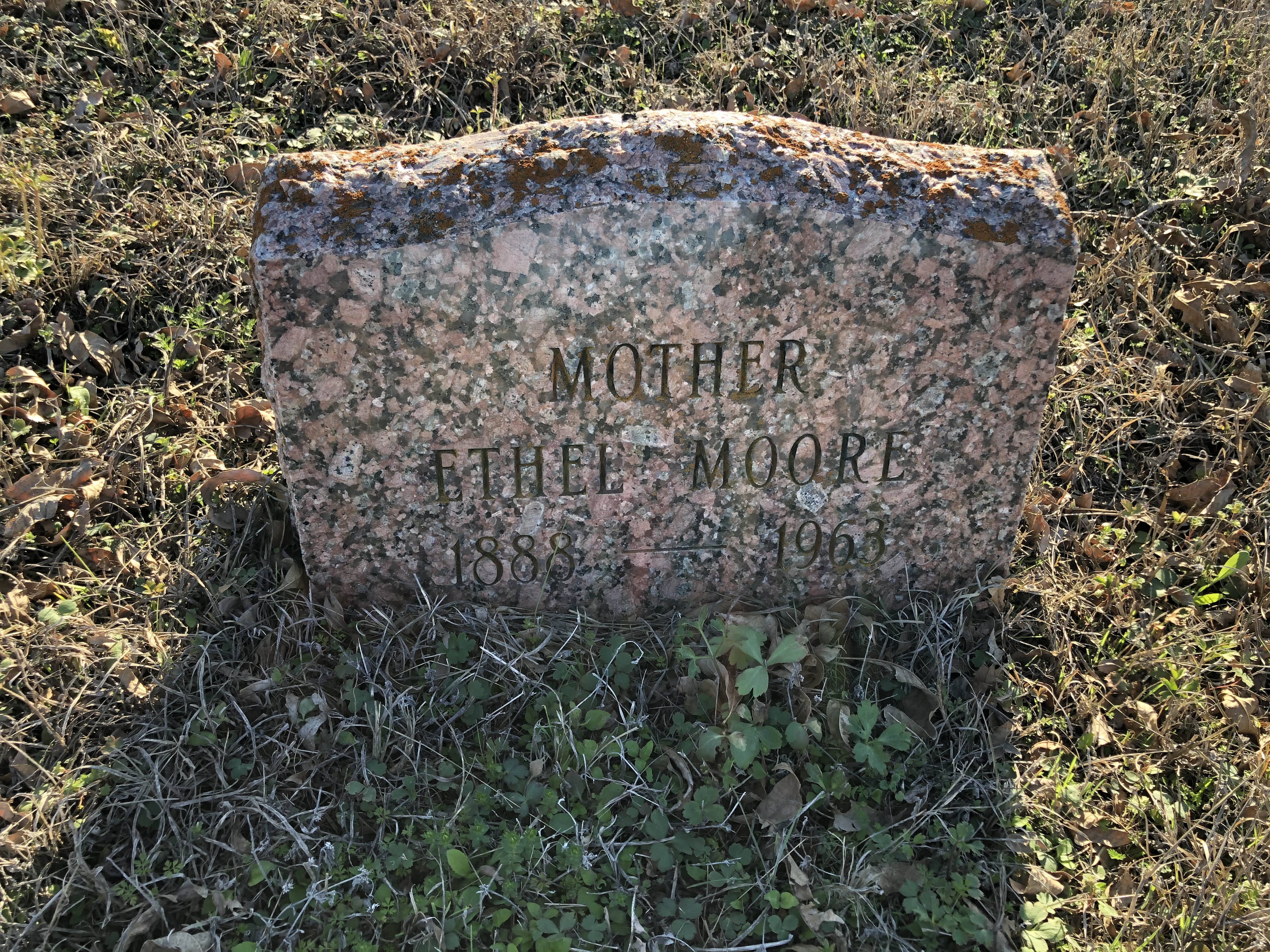 Photographed 24 Jan 2020.